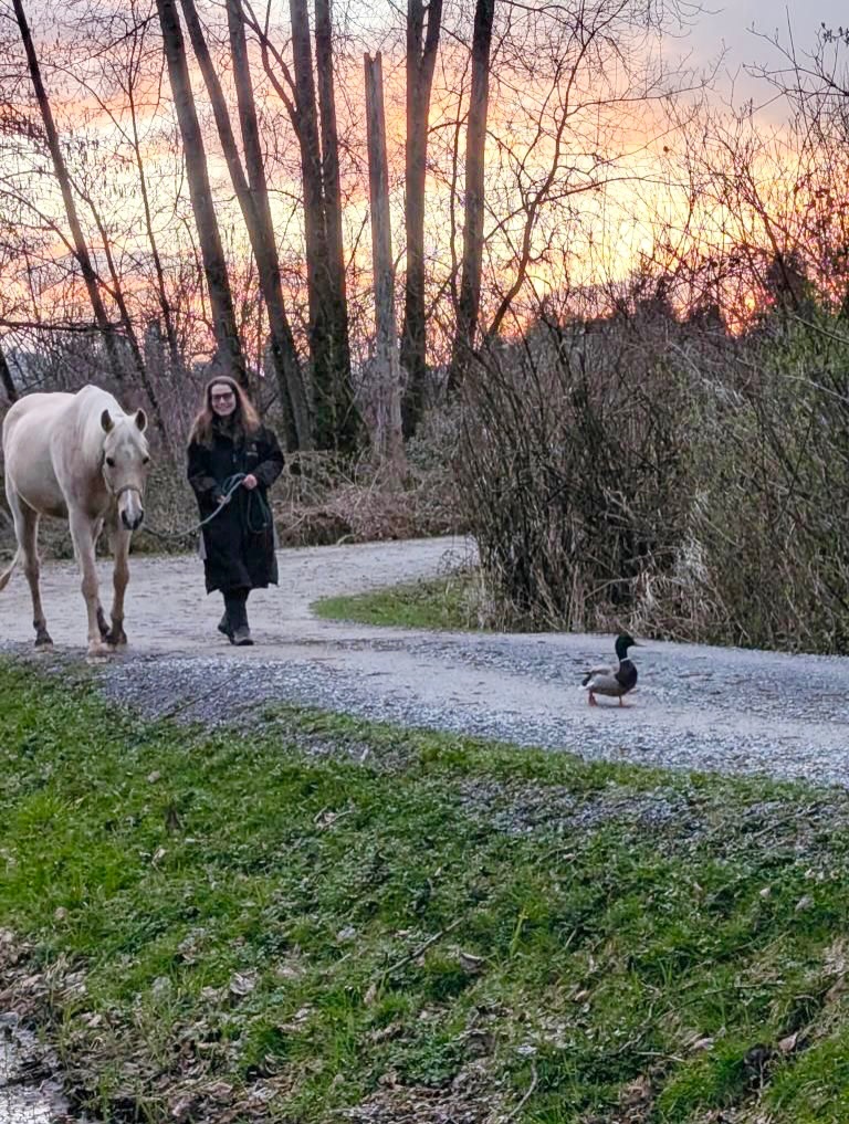 Just a mallard leading Storm, Amber and @kdkat1 to a perfect golden hour picture spot.