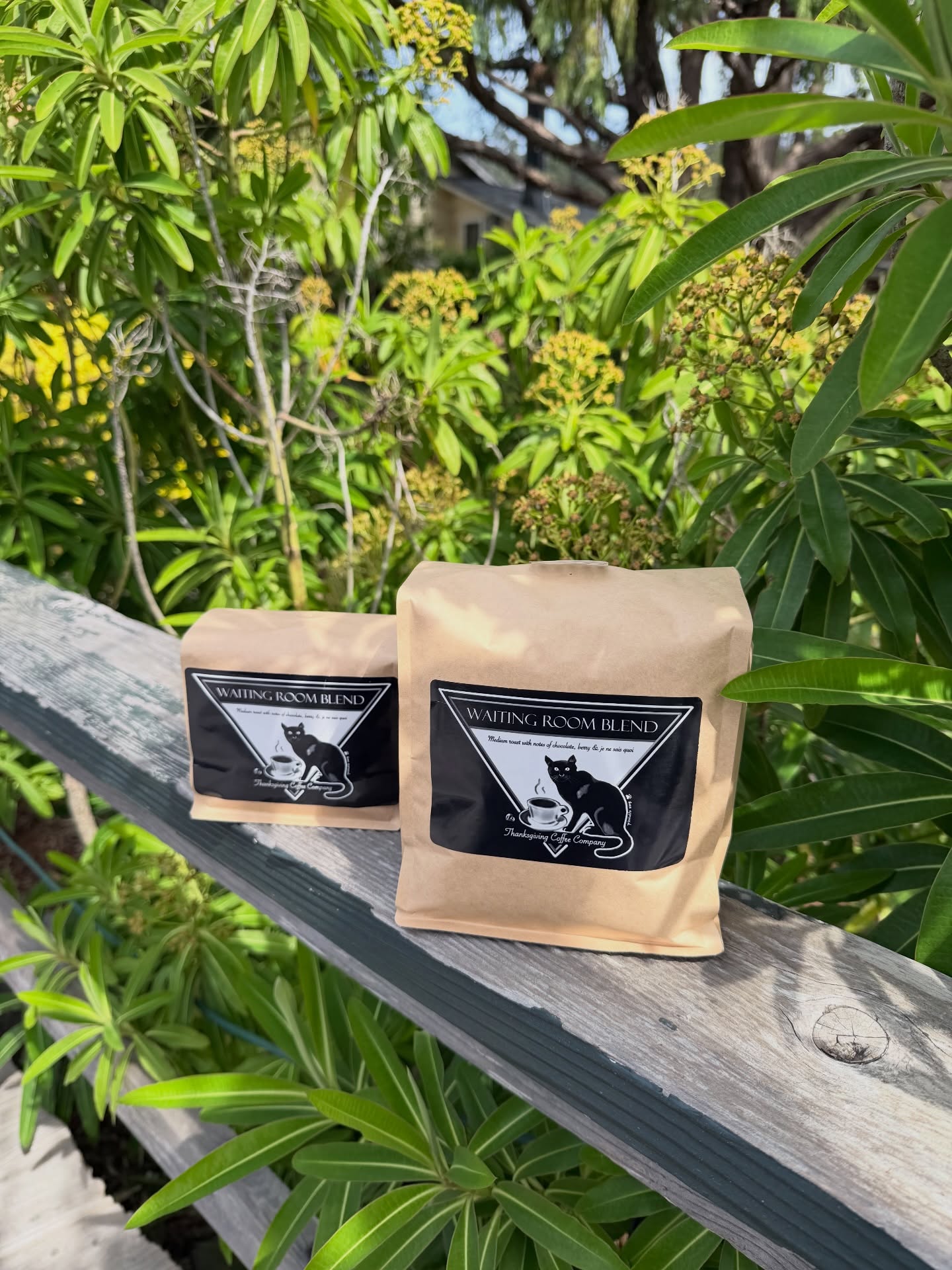 Attention coffee drinkers ☕️
You can now bring home a 2lb bag of our Waiting Room @ajustcup blend. Perfect for slow mornings at home ~ whether you’re just down the road or wishing you were.
(12oz bags are still available, too.)
#CoffeePlease #CoffeeBeans #CoffeeShop #AtHome #Mendocino