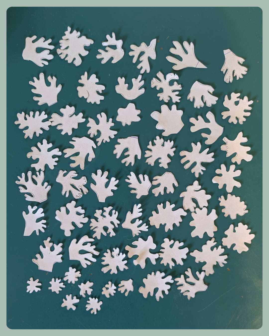 I know it looks a bit like a jigsaw puzzle but these are actually part of my process for creating a small collection of new lichen pieces.
It's much easier for me to start with very rough sketches in a notebook and then play with shapes to get a feel for the piece that I want to create.
My final designs may be unrecognisable from this point but I just have to trust the process :)