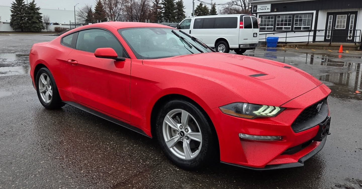 2022 Ford Mustang Eco
#carbuyers #Mississaugadealership #UniversalMotorsgta #gtacardeals