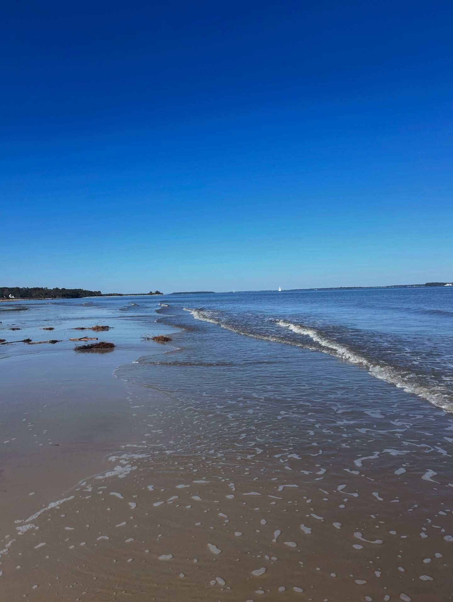 Spring is officially here, which means summer is just around the corner! ☀️ I can’t wait to return to views like this, which inspire me to keep on writing Book 3!
Question: Have you ever been to a place in the South Carolina Lowcountry?
.
#DaufuskieIsland #LowcountryLiving #LowcountryLife #CoastalLiving #BeachViews