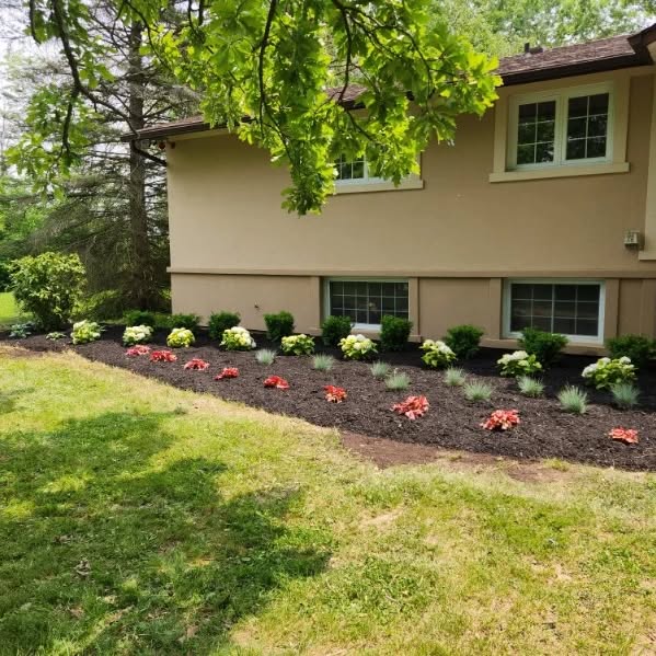 Adding curb appeal with beautiful perennials 🌼🌸💐🪴