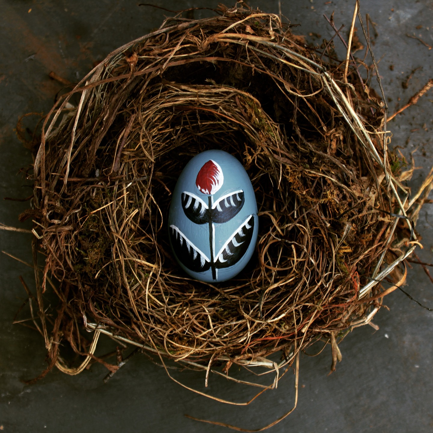 A few little treats for Easter added to my website. These gorgeous sustainable wooden eggs are perfect to hang on any Easter decoration.
Those who know me know that my preferred painting style is to paint small and detailed so I decided to challenge myself to the art of Folk Art!
Respect to all you Folk Art painters out there, it is soooo hard to be that free with the brush!! I hope you like them and yes I will be doing some more 🙃
#easterdecoration
#easter
#eastereggs
#folkart
#springtime
#homedecoration
#spring
#woodendecoration
#home