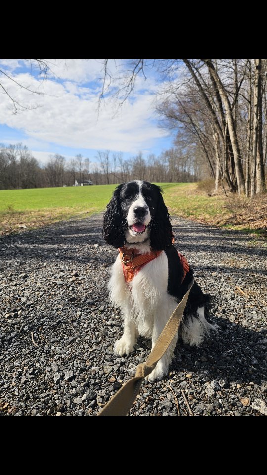 Perfect morning for a Spring hike π·