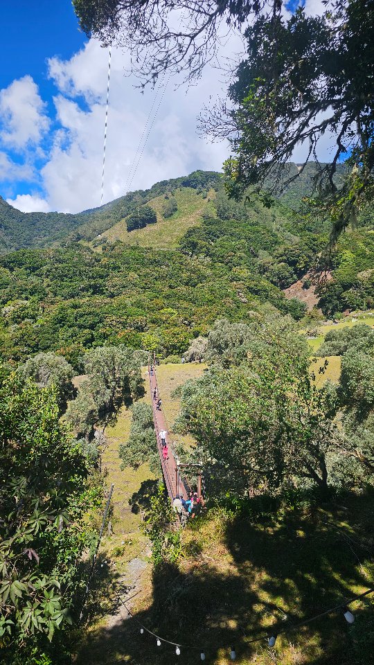 Ven a desconectarte del ruido y reconectar con lo que realmente importa… 🌿✨
Regálate días libres llenos de paz, rodeado de naturaleza, aire puro y paisajes que te roban el aliento. Disfruta momentos únicos con tu familia o amigos, creando recuerdos que se quedan para siempre.
Aquí podrás abrazar nuestras dulces ovejitas, caminar entre un bosque maravilloso y sentir la magia de estar a más de 2,300 metros sobre el nivel del mar, con un clima fresco y simplemente espectacular.
Porque no es solo un lugar… es una experiencia que te llena el alma. 💚
#boquete #chiriquí #panamá
