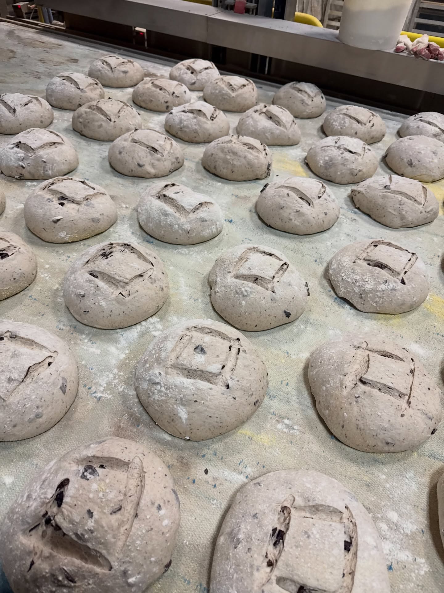 Olive farm, before & after #bakerspov #mediterrabakehouse