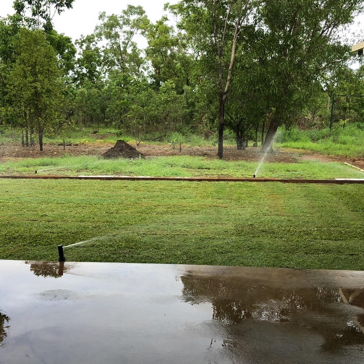 "Awesome product great service thanks"
*Scroll for before photo 👉🏽*
We love hearing from our customers and seeing what fantastic looking gardens you have created! Thank you for your feedback and the photos too Tania (and for allowing us to share), what a transformation!! Much appreciated 😁🌱🌻 #turf #lawn #garden #home #beforeandafter #customersatisfaction #testimonial #business #supportlocal #darwin #nt #turfnt