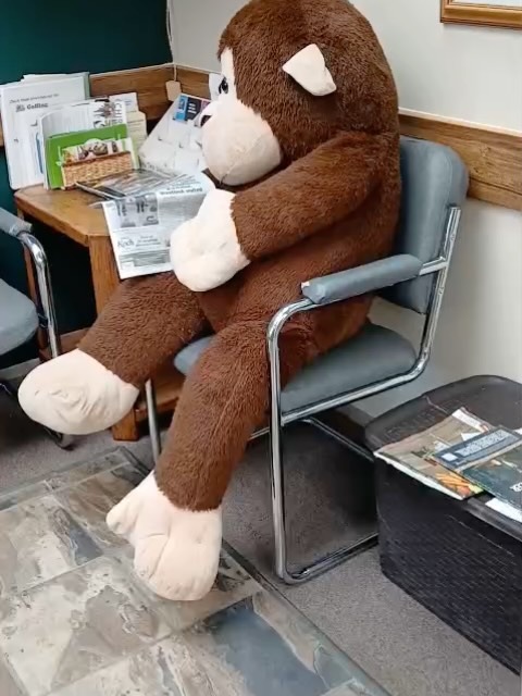 Well….Dr. Matt fully got pranked today by one of the staff (Danae) from the Athabasca Clinic. I’d say she was successful! #aprilfools