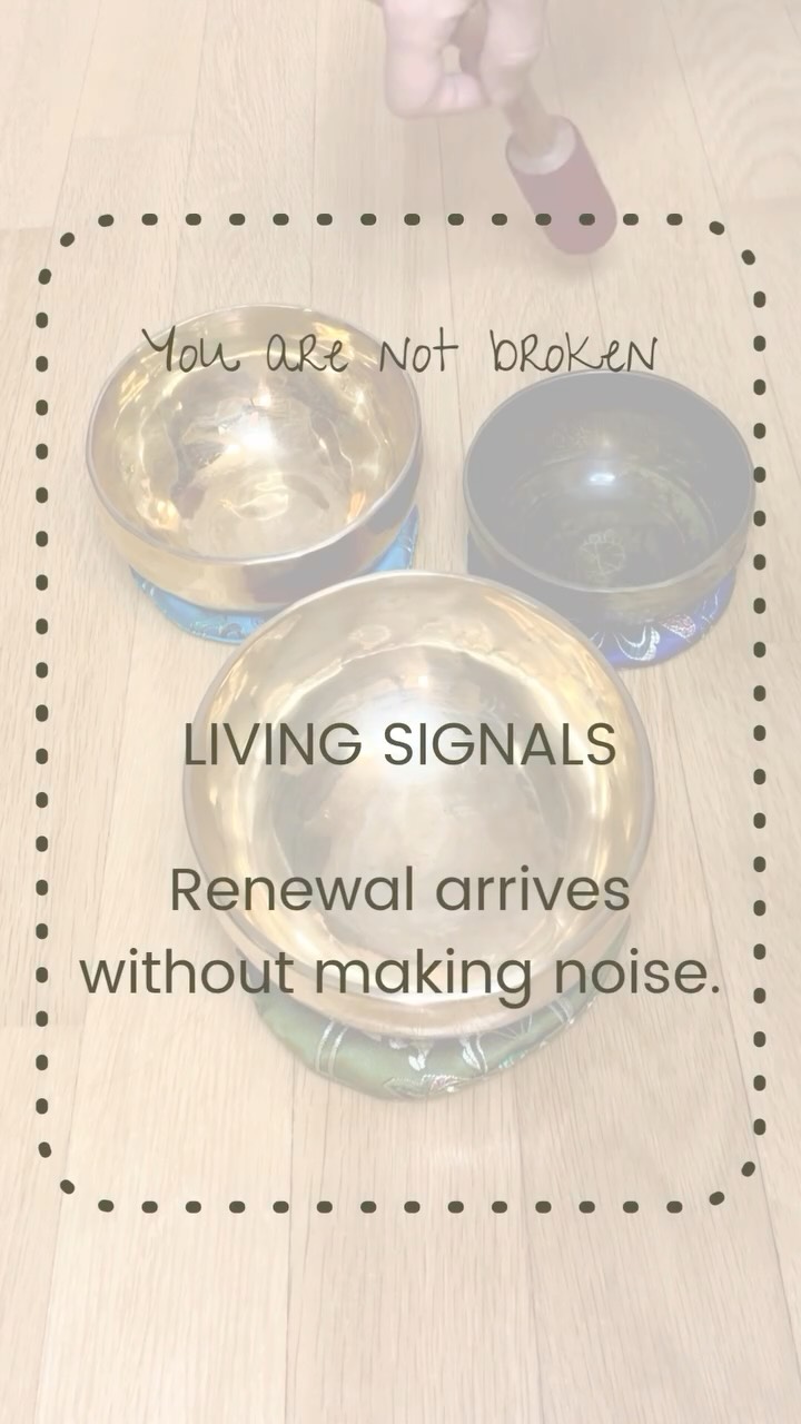 🌱
You are not broken
#StillHuman #WeeklySound #SoftResistance #Singing #SoundYoga