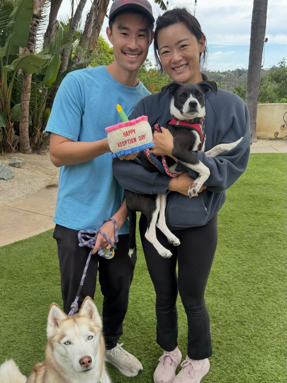 Panda got his Happily Ever After today! π
He's the best little boy who deserves the best & we are so grateful he now has his very own family. β₯οΈ
Thank you to our wonderful fosters Tina & Tony for fostering Panda & lovingly caring for him on his rescue journey.