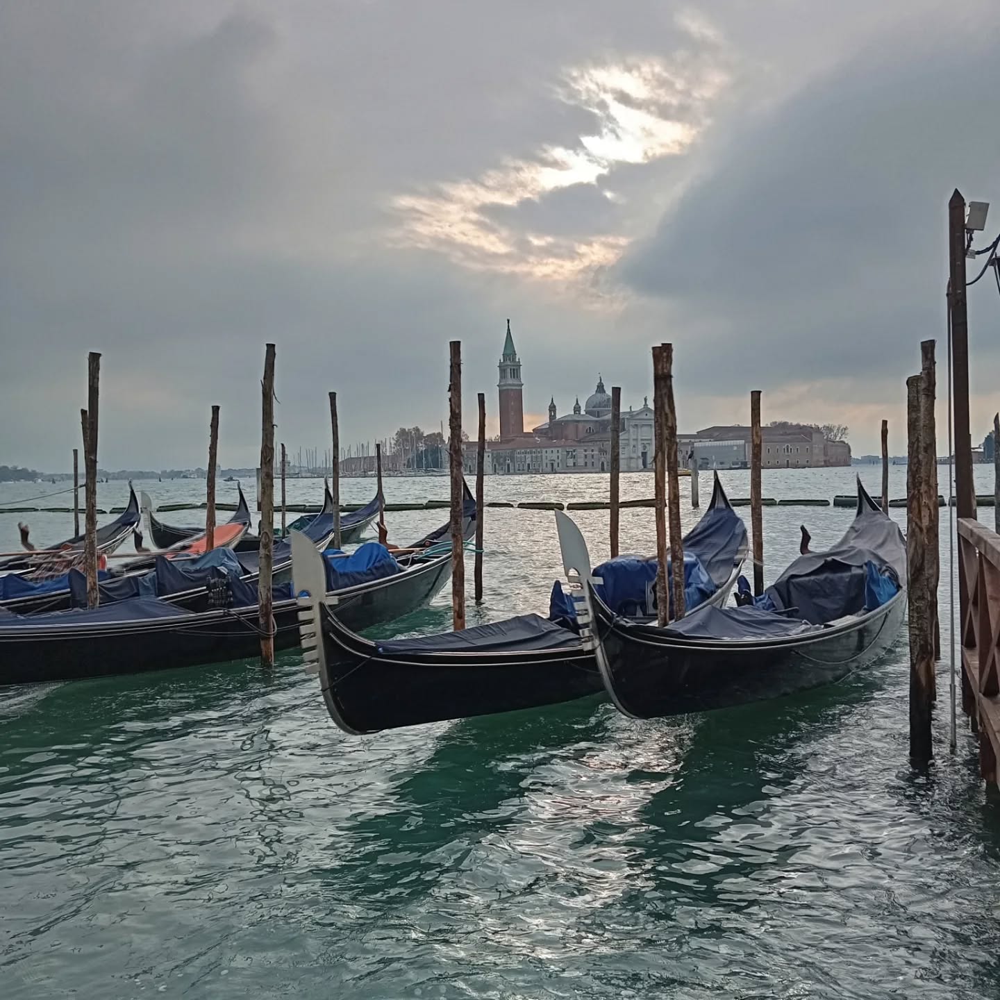 Autumn 🍁, I am not giving up on you 😃. And the Cure, well, I just love them 🖤 #venice #treviso #venetoregion #thecure #trevenice #ilovemyjob #tourguide