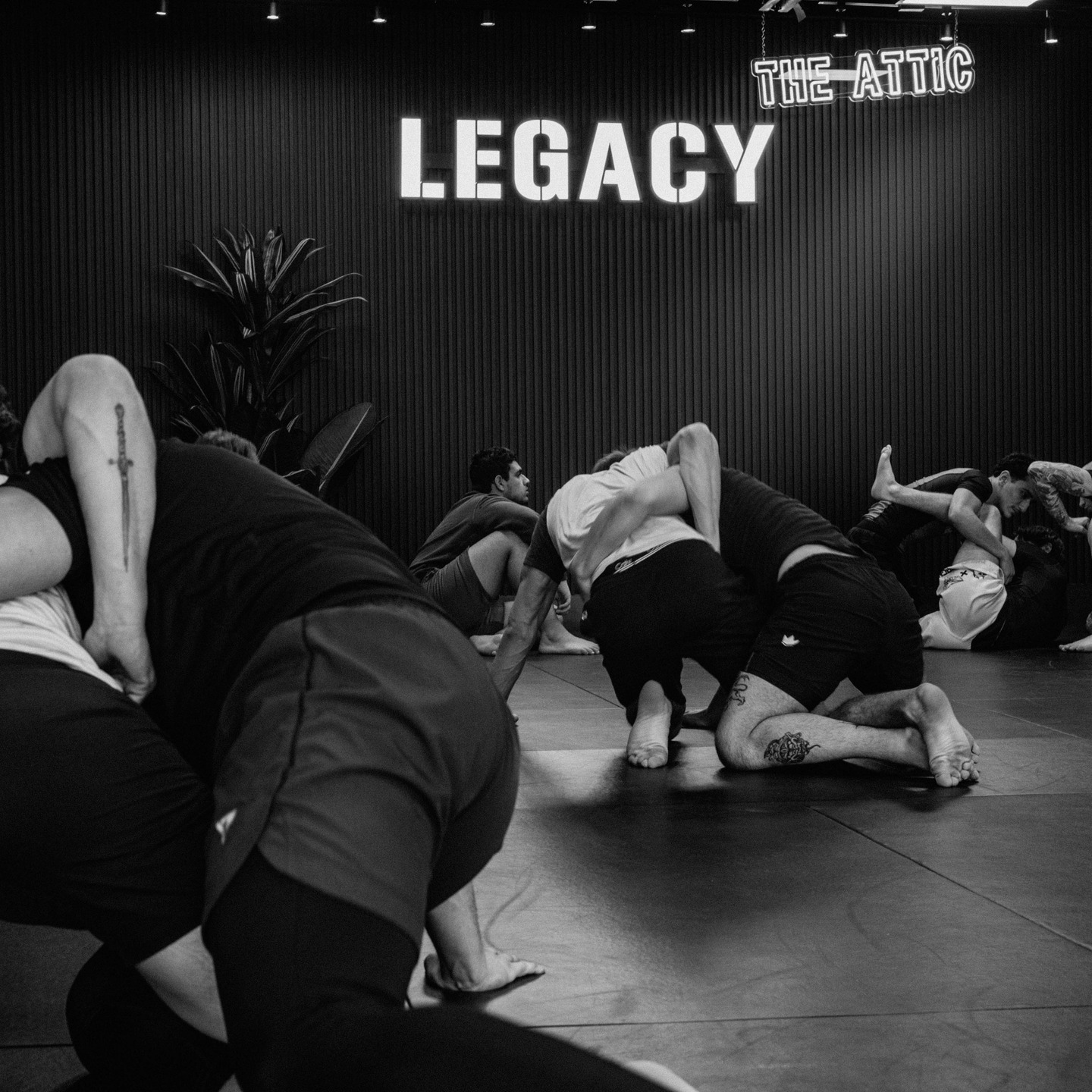 Vibes #whatsyourlegacy #teamLEGACY
@roryprophoto