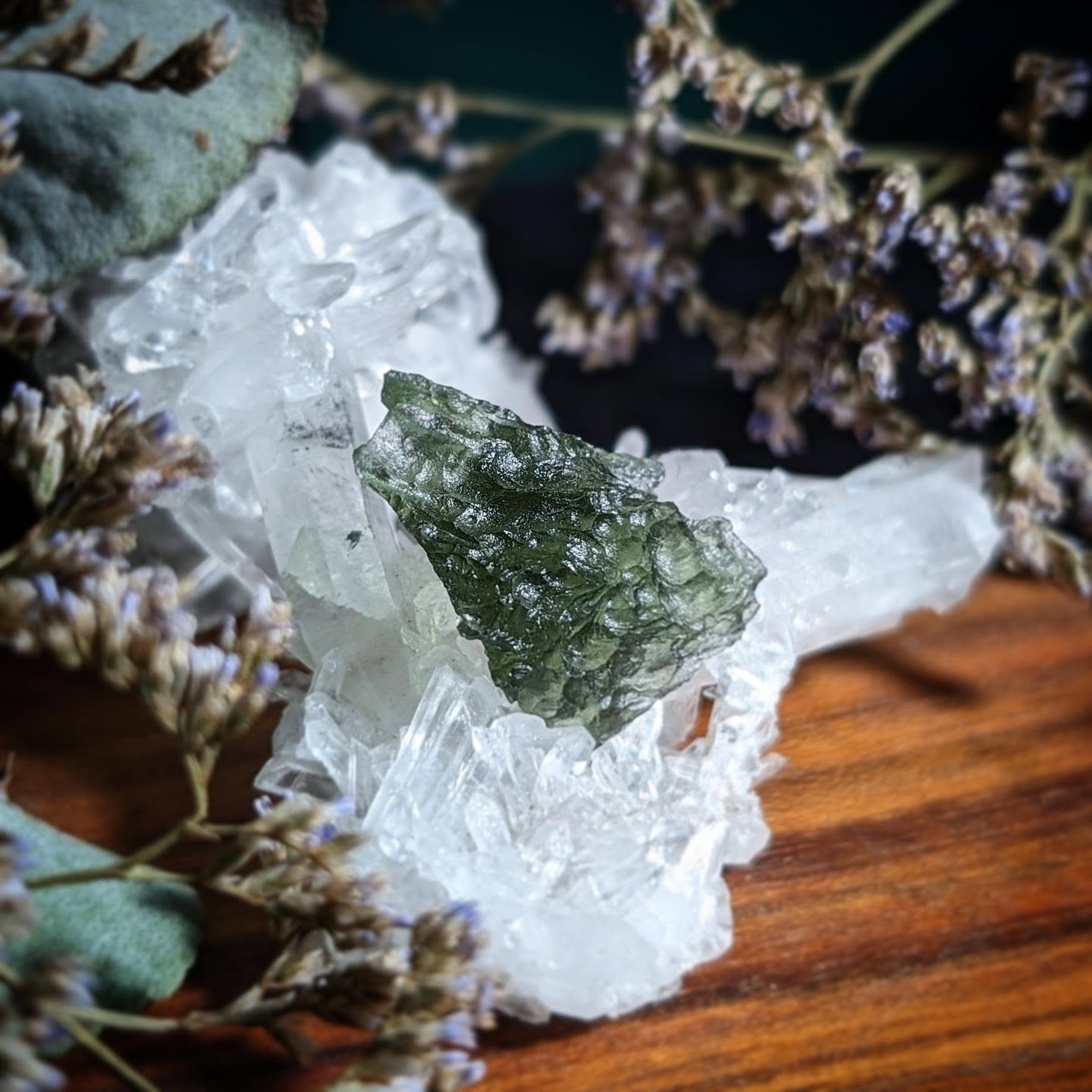 ~ • M O L D A V I T E • ~
Few & far between my loves, don't miss these beauties!!
You can find them online (just type Moldavite into our website search bar), or visit us in-store to see the pieces up close 👽
★
Spiritual Attunement & Transformation
Moldavite is a tektite that formed about 15 million years ago by a meteoric impact in Moldau, Czech Republic.
A powerful stone for meditation & dream work, Moldavite brings to the surface that which you most need to recognise, heal & develop.
It is a stone for all chakras (especially the heart & third eye) Moldavite is a high vibration stone used to facilitate rapid spiritual evolution, inner transformation, cleansing & protection
Please note, our Moldavite is sourced with confidence from a genuine, reputable supplier.
•
•
•
•
•
#blackbirdavenue #moldavite #tektite #crystalhealing #healingstones #witchywares #magickalwares #australianwitches #melbournewitches #crystalshopmelbourne #supportlocal #shopsmall #yarravalley #yarraranges #visityarravalley #yarravalleycrystals #shoptheyarravalley #dandenongranges #yarrajunction #healesville #wooriyallock #warburton