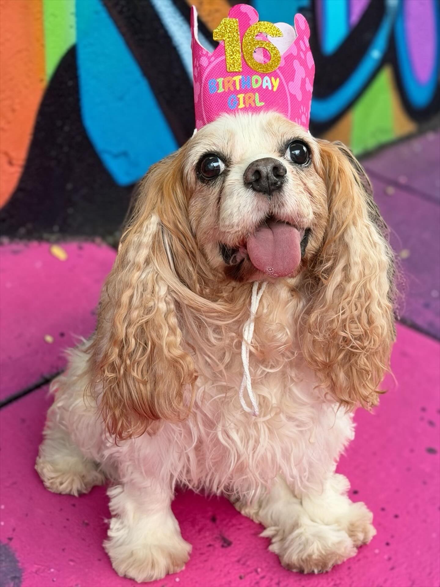 Sending all the birthday wishes to our amazing patient Sophie! We are so lucky to see you at our clinic. ❤️