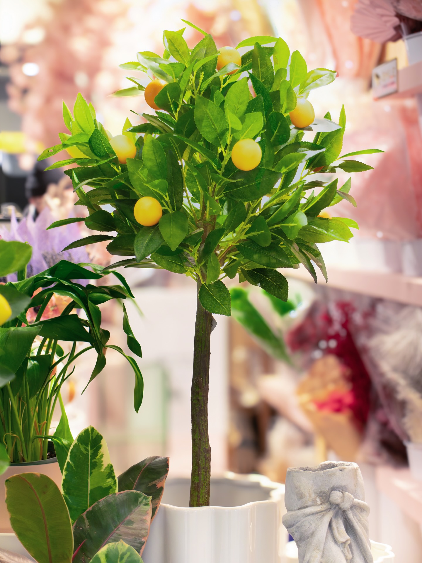 Are you looking for fresas or fríes flowers? We have the perfect decorations for your house both long lasting and fresh
#homedecorinspo #torontolocalbusiness #unionstationtoronto