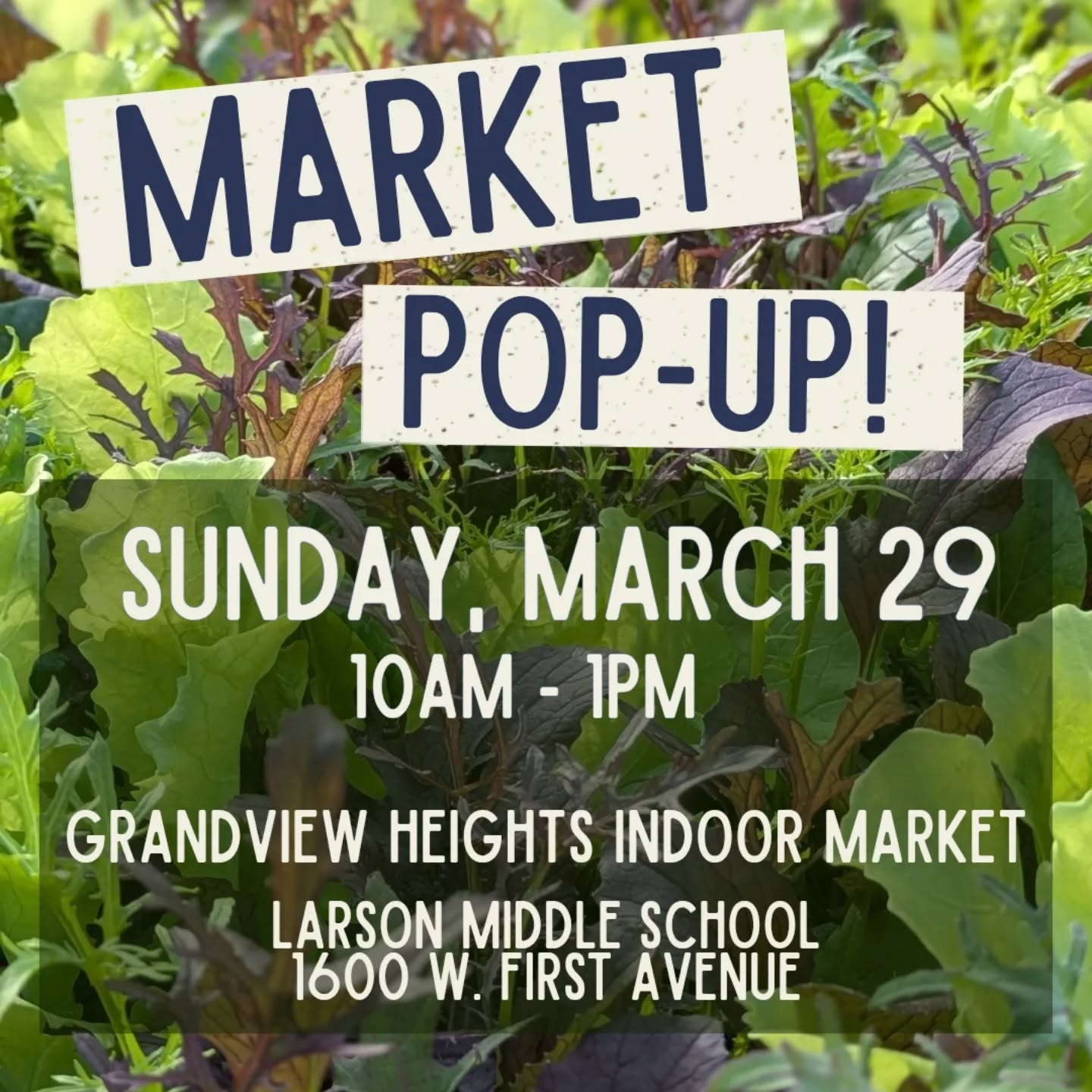 This Sunday! We're coming back to the @grandviewheightsfarmersmarket with an abundance of greens! From salad to spinach to Swiss chard, you'll be powered up to tackle anything ๐ช๐ป๐๐ปโโ๏ธ this week...or maybe just to recover from spring break ๐
We'll also have carrots, fragrant cilantro (very popular last time!), and a limited supply of the first spring radishes of the season! Everything is grown by us and certified organic ๐ฑโ
We still have @columbusfarmclub CSA spots open, and would love to tell you all about it!
It's a fun market with lots of fantastic vendors - a great way to spend a Sunday!
#ohiogrown #organic #ediblecolumbus #eat614
#knowyourfarmer