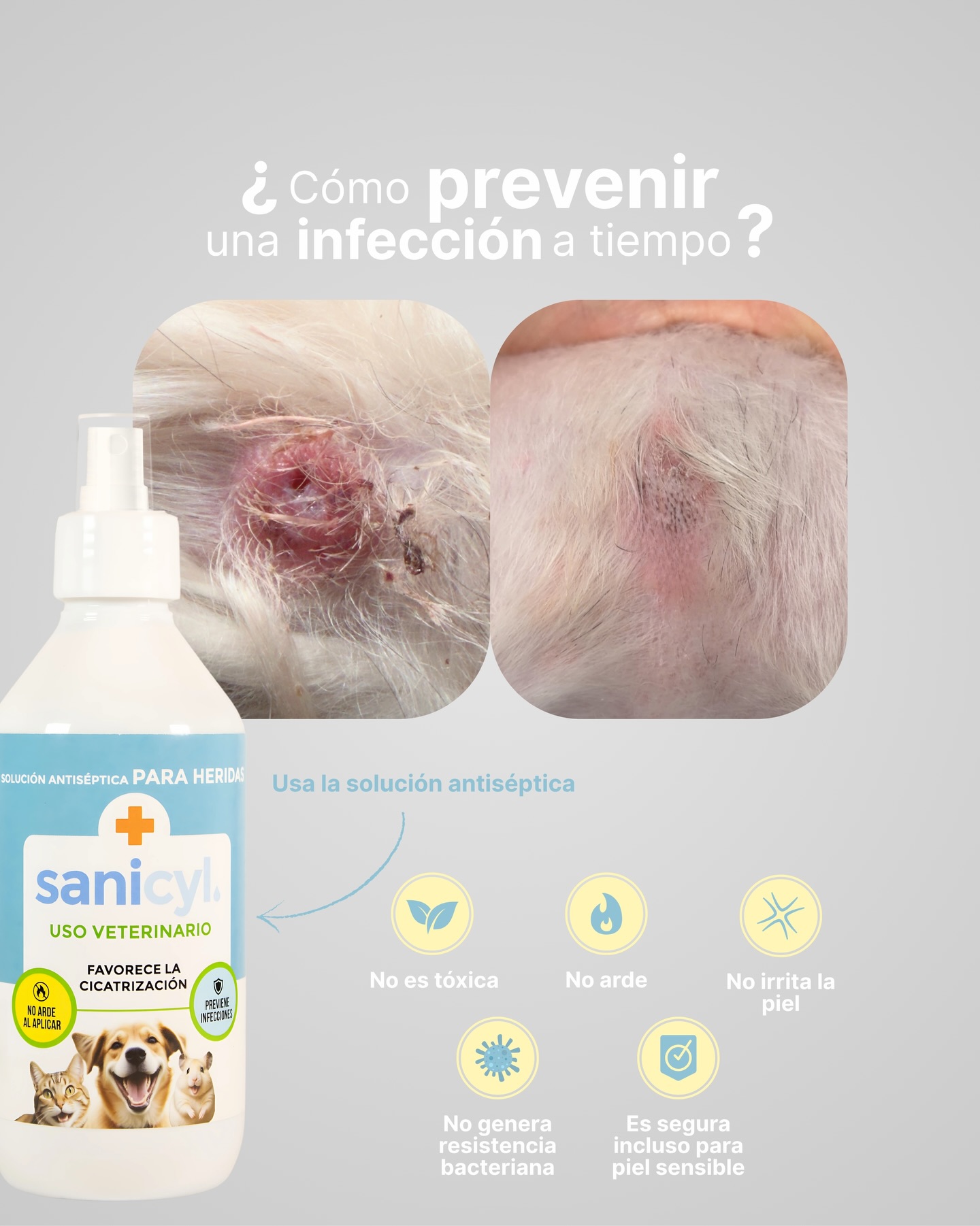 Cuidar a tu mascota también significa estar preparado para estos pequeños imprevistos.🆘🙌
🛒 Sanicyl disponible en Walmart tiendas físicas y Walmart en línea.