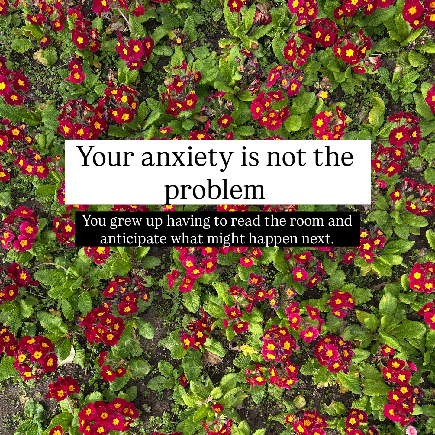 So many people come to therapy believing they are the problem. That something in them needs fixing.
But most of the time, what we’re looking at are responses that made sense at some point.
Patterns your body learned to help you cope, manage, get through. And in fact, these are highly intelligent responses from our bodies and it means your body is doing what it’s meant to - keep you aware - to survive!
The work I do isn’t about getting rid of symptoms. It’s not about helping you learn more coping strategies so you can ‘tolerate’ more pain. It’s not about ‘fixing’ you.
It’s about getting curious about what shaped them in the first place. This is crucial to helping you move forward. Understanding quite often that it didn’t start with you.
With more understanding of the systems at play, you can build capacity to choose differently.
Helping you to resist, where appropriate, and cope with compassion when needed.
Because when you understand your responses as adaptations that your body makes - not flaws - something shifts.
The shame lessens as you realise they are not a personal failing.
There’s less judgement and more compassion.
More choice.
This is where the blend of talking therapy and somatic work matters.
Not just making sense of your story, but noticing how it’s still held in your body. The tension, the bracing, the habits that keep things in place.
And gently, at your pace, creating space for something different.
You’re not the problem.
But your experiences deserve your attention.
J x