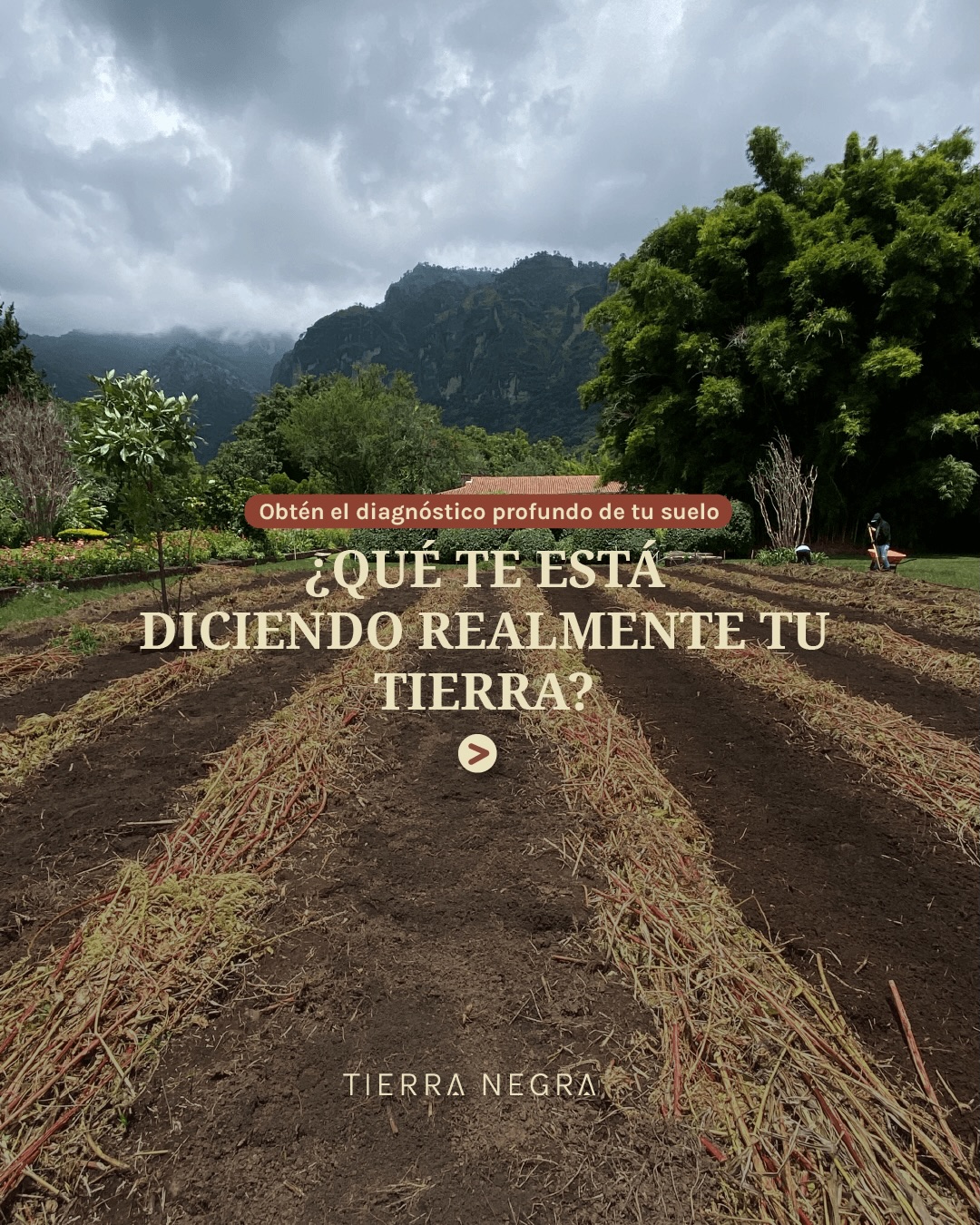 ¿Alguna vez te has preguntado qué te está diciendo realmente tu tierra de cultivo? 🌱🔬
En el próximo curso de Regeneración de Suelos con Armando Larios y el equipo de Tierra Negra y Solar , no solo hablaremos de teoría; queremos trabajar con tu realidad. Por eso, abrimos una invitación especial: ¡Interpretamos el croma de tu propio suelo durante el taller!
¿Cómo participar?
Es muy sencillo, pero requiere preparación. Si quieres que analicemos tu suelo y posteriormente realicemos la interpretación técnica durante el curso, necesitamos una muestra física de tu terreno.
Pasos para el envío:
1️⃣ Separa una muestra de 50 gr de tu tierra.
2️⃣ Escríbenos vía WhatsApp al 771 266 6688. Te enviaremos toda la información sobre cómo tomar la muestra correctamente y a dónde enviarla.
3️⃣ ¡Asiste al curso y vive la interpretación paso a paso!
No pierdas la oportunidad de obtener un diagnóstico profesional y directo de la mano de un experto. Entender la microbiología y salud de tu suelo es el primer paso para transformarlo.
🗓️ Recordatorio: ¡Iniciamos este 14 de abril!
📍 SOLAR
📲 Informes e inscripciones al mismo número de WhatsApp.
#cromatografía #cursos #tierranegra