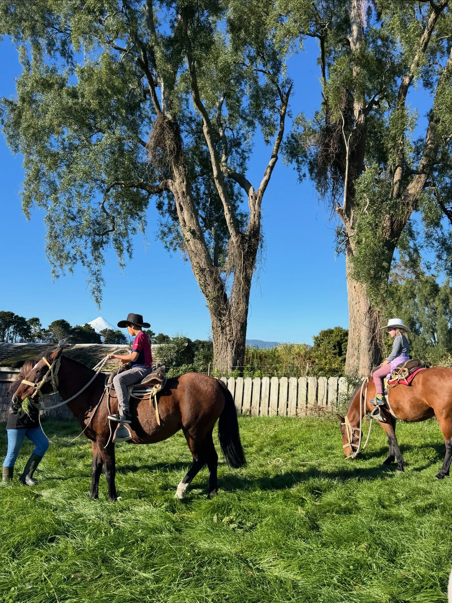 ¡Nos vemos en el campo este fin de semana largo!
🪺🐰🌳
Te invitamos a celebrar una Feliz Pascua rodeados de naturaleza, animales , juego y manualidades.
Disfruta de un panorama pensado para toda la familia:
🐰 Búsqueda del tesoro de Pascua
🐰Cabalgatas
🐰 Manualidades
🐰 Tour guiados
🐰 Pintacaritas @capifaceart
🐰 Rica cafetería con café de especialidad @bonitocafe.cl
🐰 Almuerzos del campo a la mesa
🐰 Helados, manjar, queso , miel, frutillas y más.
Reserva tu entrada en fundoplayavenado.cl