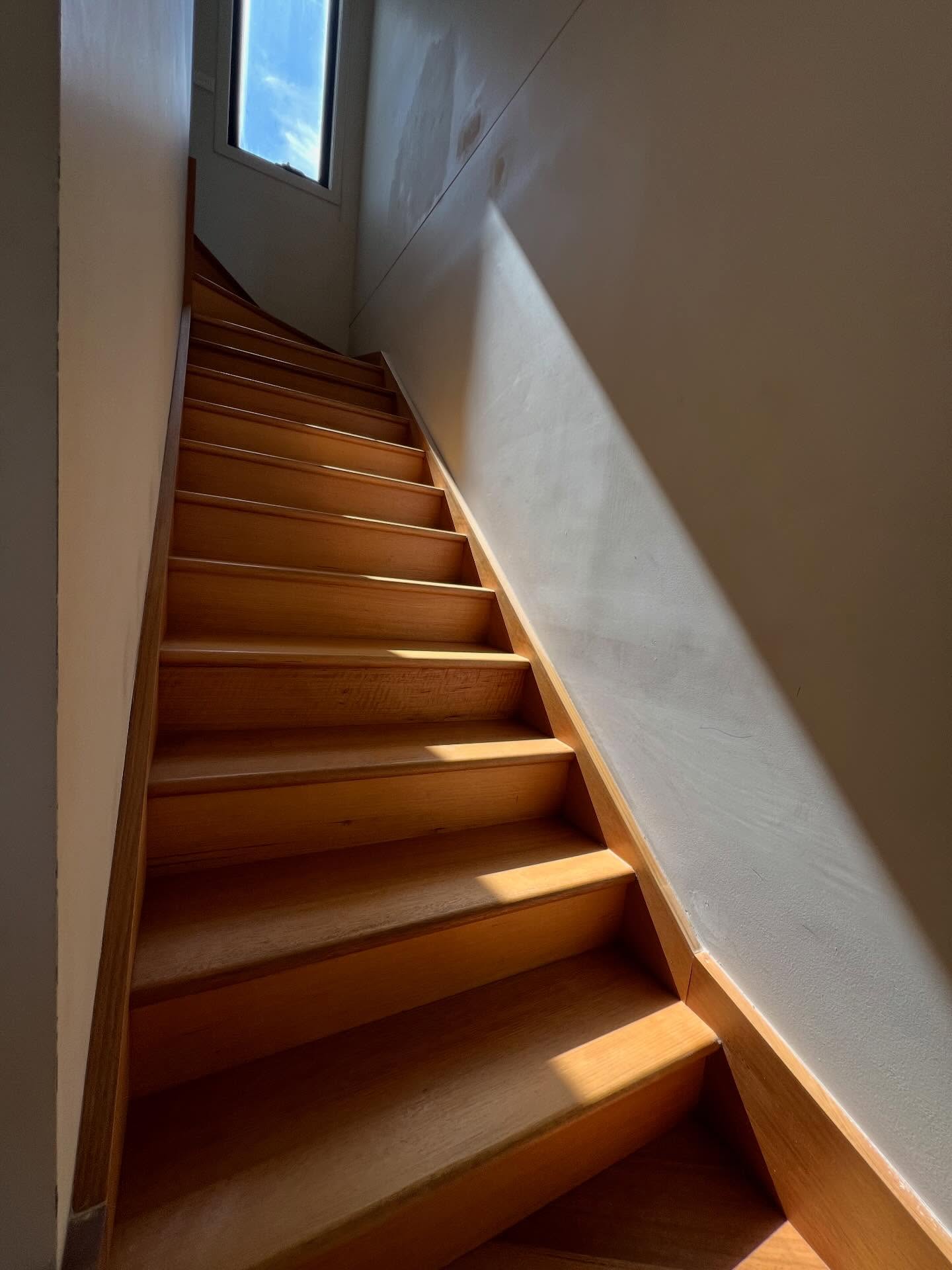 End of Lease Cleaning โ Wooden Stairs Done Right ๐งผ
We remove:
โ Dirt & dust buildup
โ Scuff marks
โ Everyday wear
Leave your stairs spotless and ready for final inspection.
๐ข Golden Roar Cleaning Service
๐ 0424 287 724
๐ง Goldenroarcleaningservice@gmail.com
๐ฅ Limited bookings available