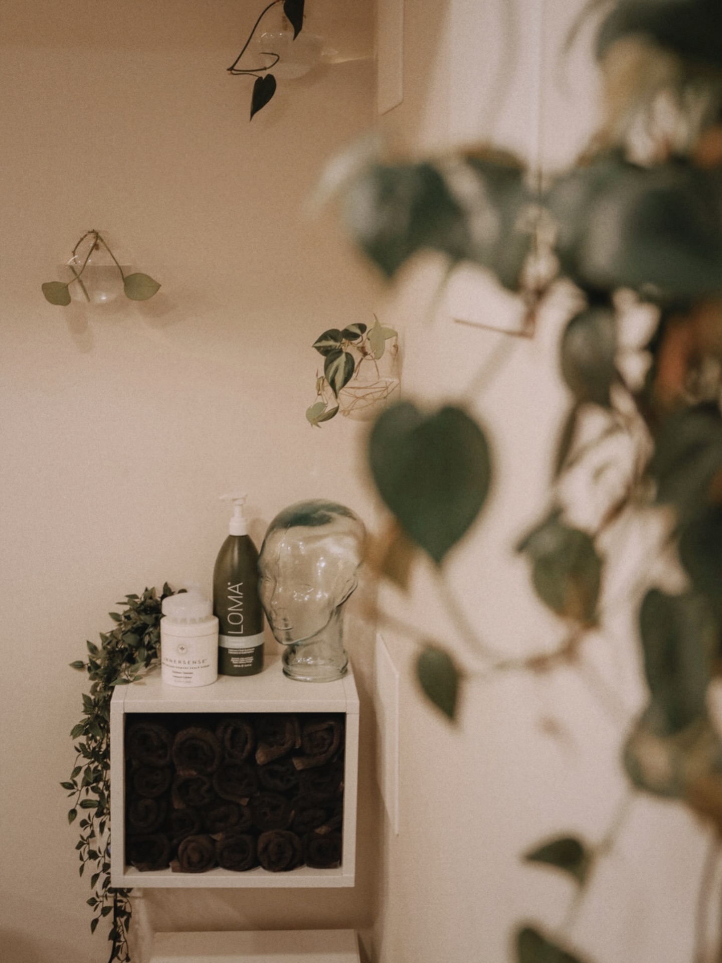 a calm space designed for you to slow down for a bit. one on one (usually paired with a good playlist) and focused on creating hair that feels like you. summer booking is filling up! you can book with your stylist through the link in our bio 🌿
#frederickmdhairstylist #frederickmdsalon #dmvhairstylist #marylandhairstylist #balayage