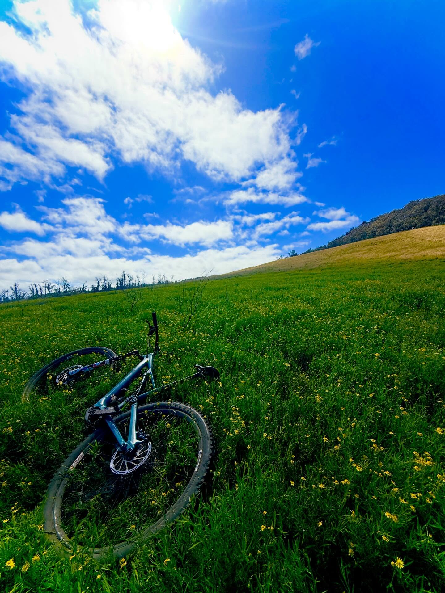 So Blessed to be Back on my Bike!!!!!