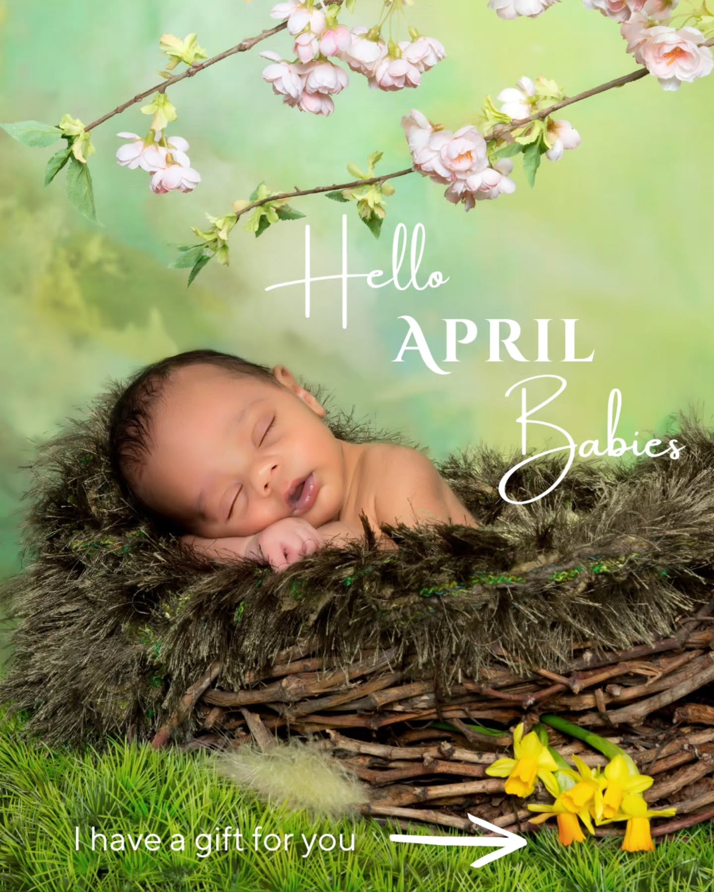🌼 Hello April Babies 🌼
Are you having an April baby?
If so, I have a gift for you 💜
Born in a month of fresh blooms, longer days, and new beginnings— April babies carry the spirit of renewal wherever you go. Their souls are a beautiful mix of strength and sweetness, blooming boldly while bringing warmth and light to everyone around them.
With this in mind I have a gift to help you welcome spring babies into the world, with love.
You don't have to be local to me either, this is for parents anywhere!
✨️ Pop your due date below or tag a pregnant friend to receive the free gift ✨️
#april #Baby #AprilBaby #Love #SpringBaby