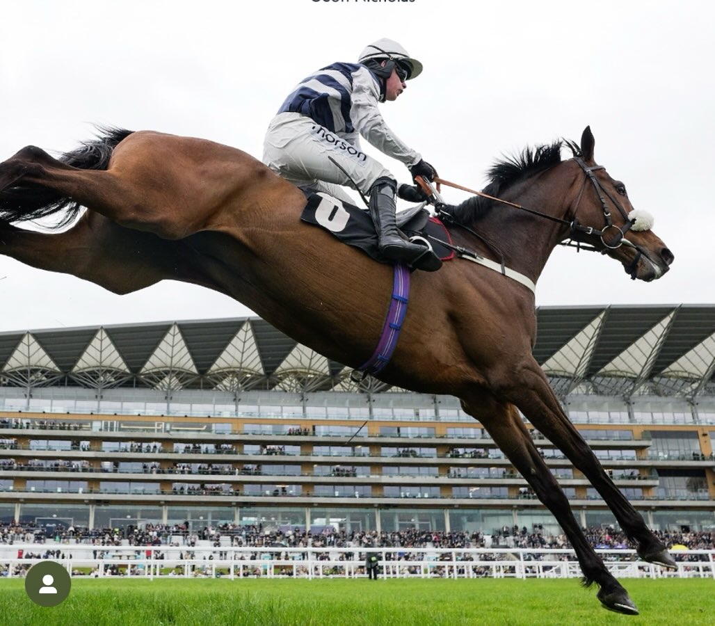 Sherborne wins the handicap chase today @ascotracecourse ridden by @freddiegingell11
Well done to Geoff Kennington & Geoff Nicholas 👏🏻
@coralofficial
@dodsonhorrell