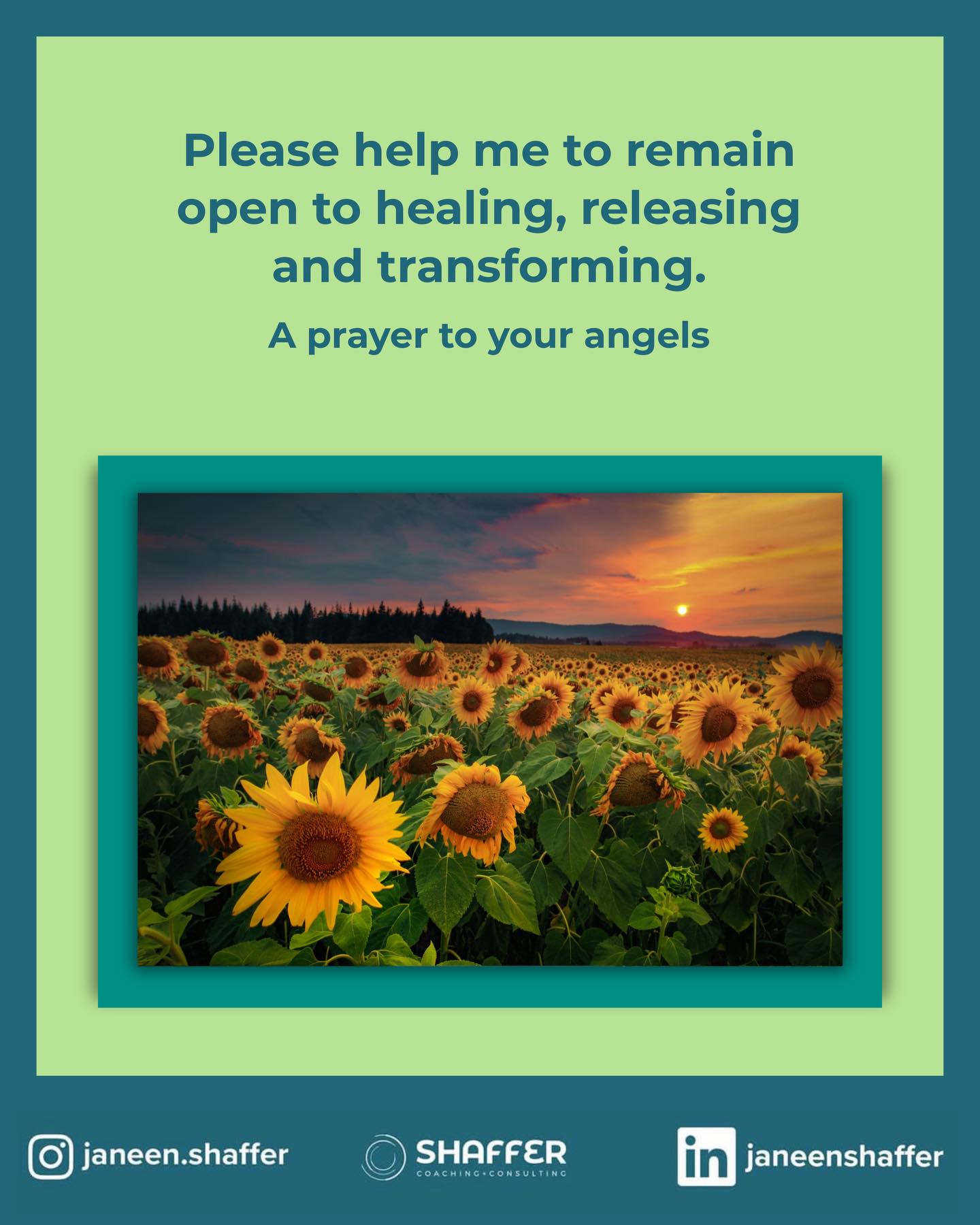 The timeline may not look the way you expected, but that does not mean you are off course. There is wisdom unfolding beyond what you can see. And every day you choose to care for yourself — every small act of courage, rest, honesty, or effort — brings you closer to what is meant for you.
#healing #newbeginning #perseverance #transformation #rebirth