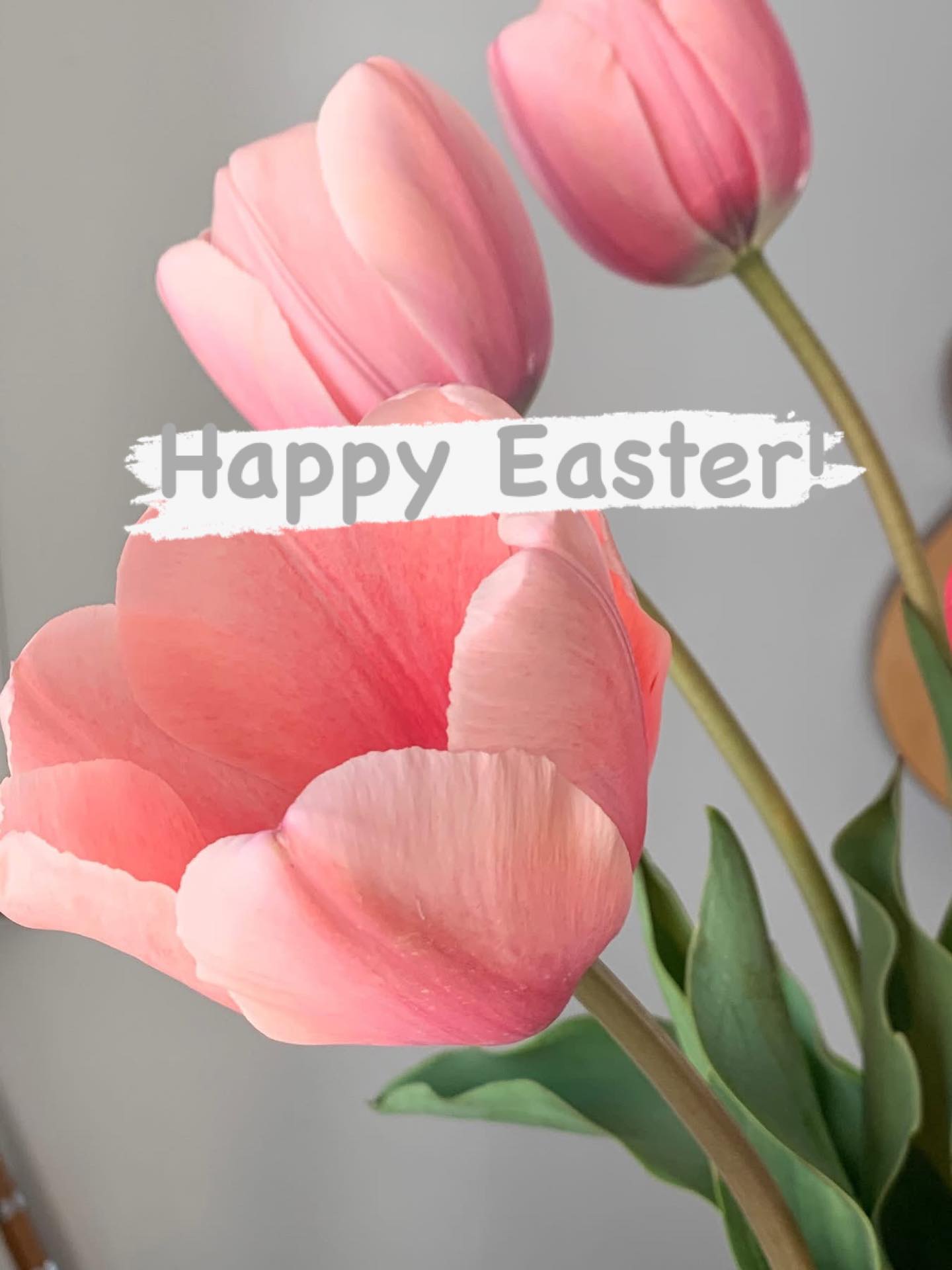 Happy Easter from our family to yours! We had a most awesome Easter Egg Hunt here at The Garden yesterday and we have had to restock our Farm Stand again! Thank you for all of your support. We wish you the very happiest of days today. May you be able to spend this weekend with the ones you love. And, if you need any flowers to brighten this dreary, cloudy day, the Farm Stand is OPEN today (Sunday) and tomorrow (Monday) until 6 with fresh, locally grown flowers.
#thegardeninharrington #localflowers #flowerfarm #stratfordontario #haveyouseenaflowerfarmyet
