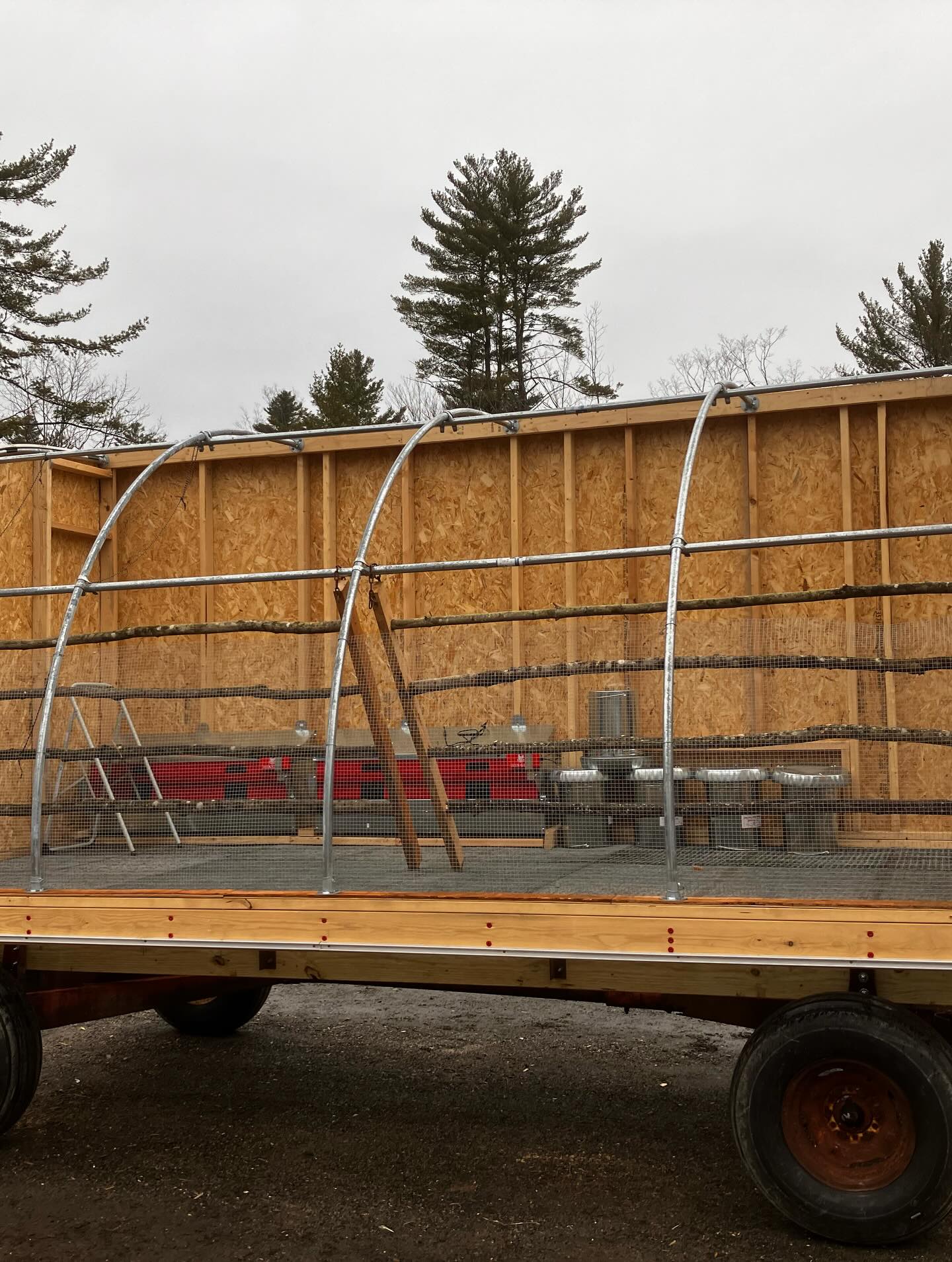 What a crazy busy week!!!!! Chicken house building, greenhouse work, projects with friends! This chicken house is finally ready for our ladies to come on Wednesday evening. Stick around for the last video to see our vicious guard dog, Jake. He’s all ready to get any predator trying to get our layers. #pastureraisedeggs #layinghens #guardsog #blinddog