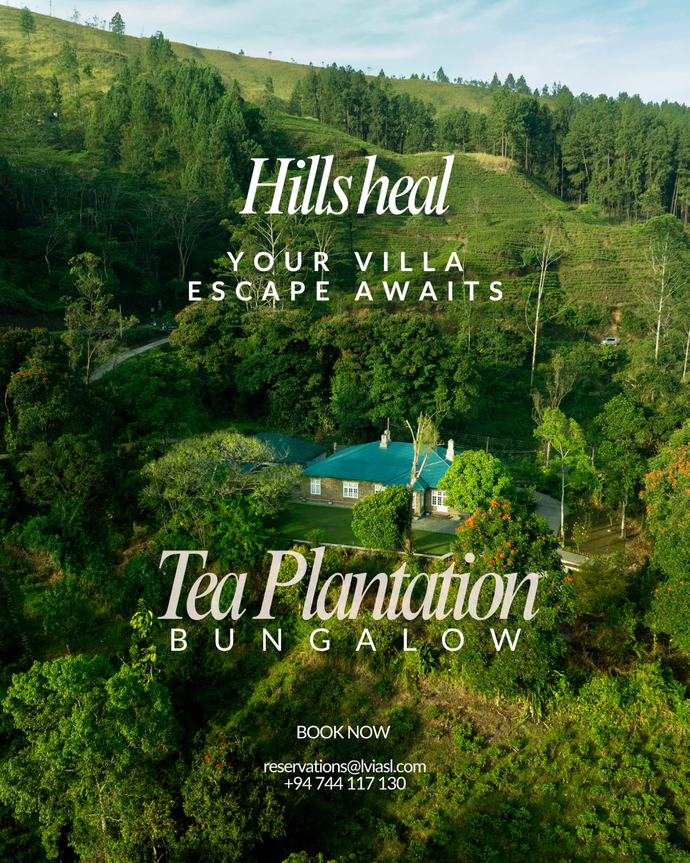 The hills have a way of quietening things down.
Slow mornings. Deep breaths. Nights so quiet you’ll actually notice the silence.
LVIA’s hill-country villas exist for exactly this — the kind of reset that a weekend in a city hotel simply cannot offer.
Ready to exhale?
DM for more info or book below.
WhatsApp: +94 744 117 130
Email : reservations@lvia.com
#wellnessretreats #mindfultravel #srilankabungalow #srilankatravel #bungalowrental