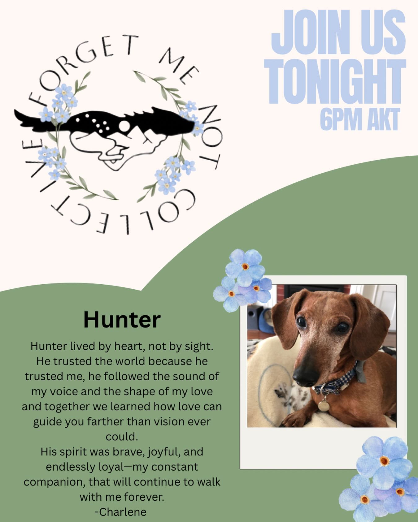 Join us tonight for Forget Me Not Collective!
Follow the link in our bio at 6 pm AKT to hop on a call with us and other euthanasia practitioners to talk about the ins and outs of this important work, what makes it hard, why it can be so rewarding and find community.
Each month for a reminder about the meeting we’ll honor an animal who has made a big mark on our lives. This time we’re remembering Hunter. If you would like us to feature a pet or patient of yours in the future, please send a DM. We meet the first Thursday of every month.
We hope to create a safe and healing virtual space for humans offering euthanasia service, no matter where you are in the world, who you work for, or what your background is. Often people do this work in isolation and carry the burden alone. We want to change that, so please join us and spread the word!
#veterinarian #euthanasia #vettech #animalcontrol #animalrescue
