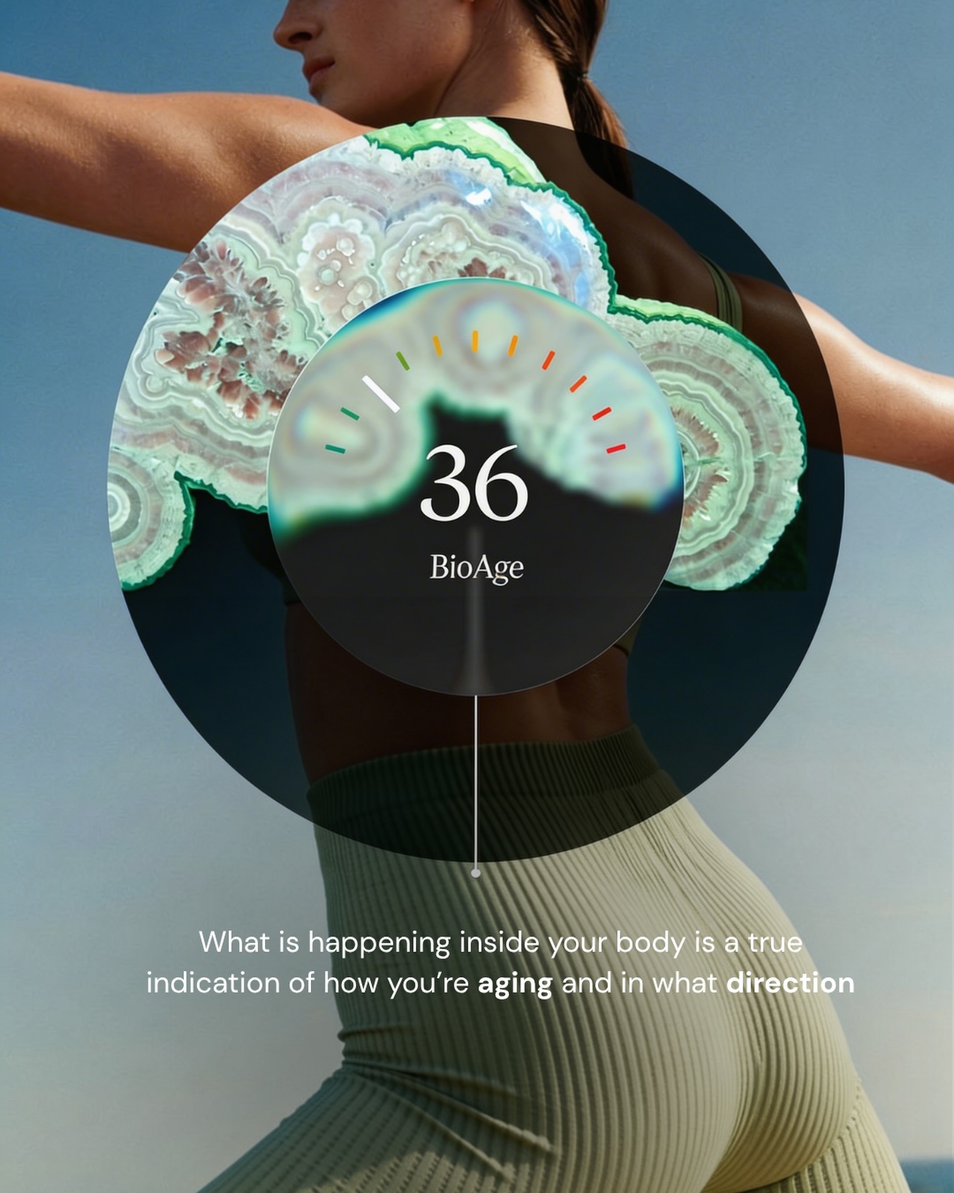 Biological age cannot be captured by a single number or a single biomarker. Aging is not one process happening in one tissue at one moment in time.
It is instead the result of many interconnected systems — metabolism, inflammation, cellular repair, mitochondrial function, immune signaling, nervous system regulation, and more — continuously interacting and influencing one another.
Many current biological age models rely on isolated markers or static measurements. But biology is dynamic. The body is constantly adapting, repairing, responding to stress, and rebalancing itself.
A meaningful understanding of aging requires looking at how these systems function together over time.
Revivex is building an ecosystem designed to support and monitor these interconnected biological processes. Instead of focusing on a single measurement, the goal is to create a more complete picture of how the body is functioning across multiple dimensions of health and longevity🧬