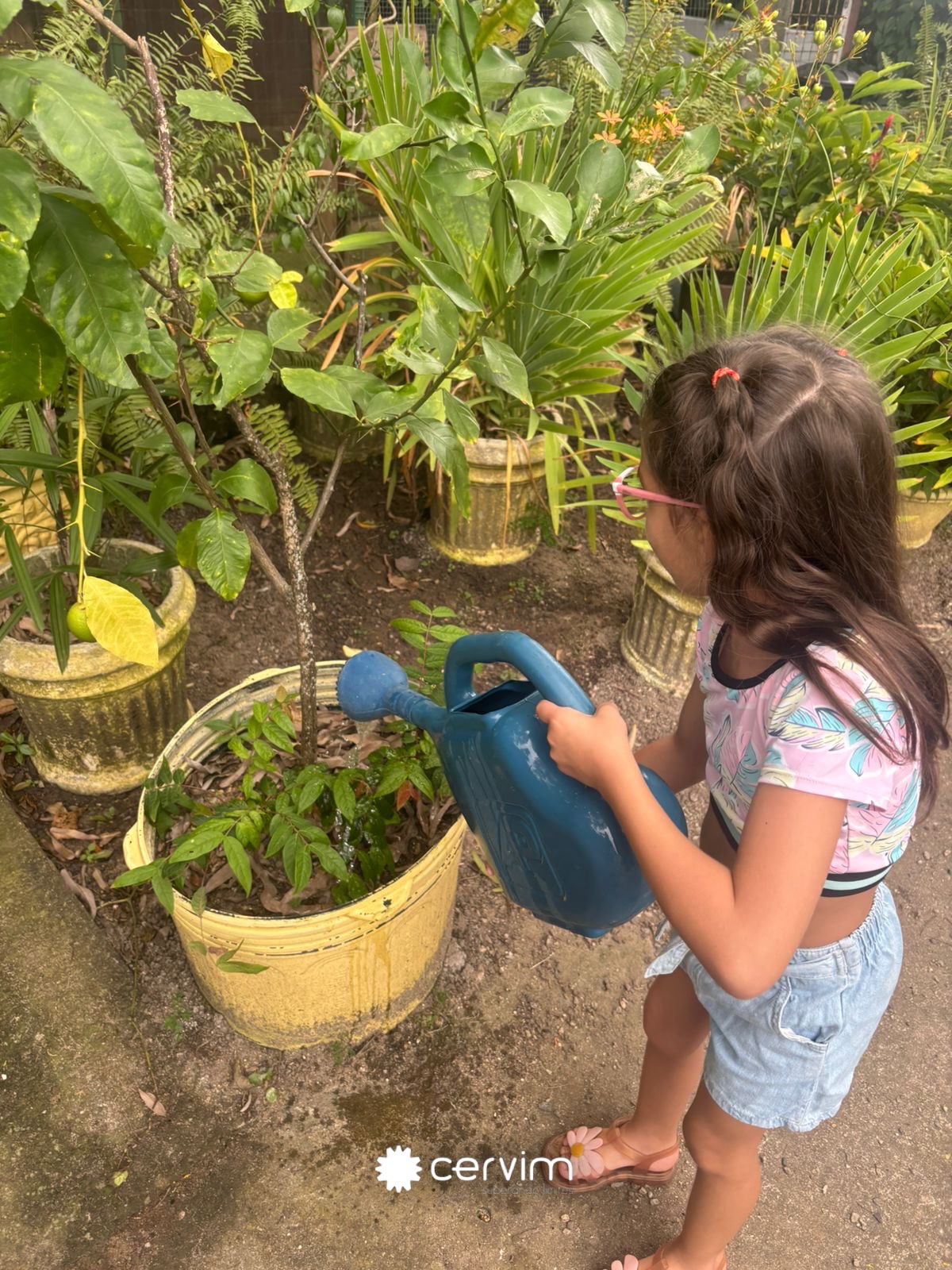 “Hoje tivemos uma vivência especial na horta 🐰🌿
Ágata pôde conhecer o coelho de perto, em contato com a natureza, proporcionando uma experiência rica, significativa e terapêutica dentro da Psicopedagogia.
Aprender vai muito além da mesa… é sentir, vivenciar e se conectar.”
– Palavras da Psicopedagoga Joyce. 💙🌳
#terapiaaoarlivre #Cervim20Anos #vivêncianahorta #psicopedagogia #psicopedagogiaCervim