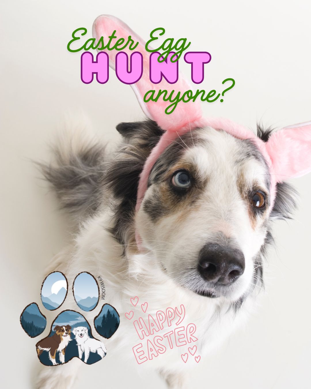 🐣🌸 Easter Sunday… but make it DOG FRIENDLY 🌸🐣
What if your dog got their own Easter egg hunt this year? 👀🐾
Here's how to do it:
🥚 Grab some plastic eggs (or small containers)
🥕 Fill them with dog-safe goodies (kibble, treats, even pieces of carrots!)
🌿 Hide them around your yard or home
👃 Let your dog sniff, search, and "hunt"
This is SUCH a fun way to:
✔️ Burn mental energy
✔️ Tap into natural sniffing instincts
✔️ Create enrichment without overthinking it
⚠️ Pro tip: Supervise to make sure eggs don't become the snack 😅
Now we wanna know…
🐾 Would your dog be a pro egg hunter… or just smash everything immediately?
Drop your dog's hunting style below and extra bonus points for any cute pictures of your dog on their hunt!👇
#k9wisdom_dognerd #puppytraining #dogtrainingtips #easterdog #dogfriendly #enrichment #dogenrichment #happyeaster