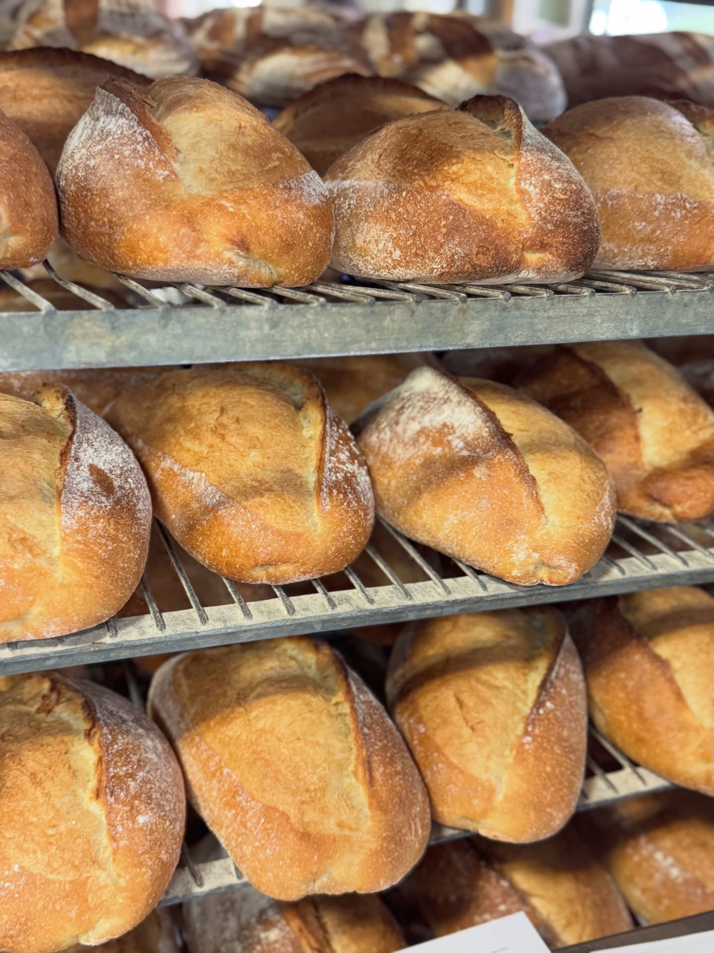 bread, evvvvvverywhere #bakerspov #mediterrabakehouse #panebello