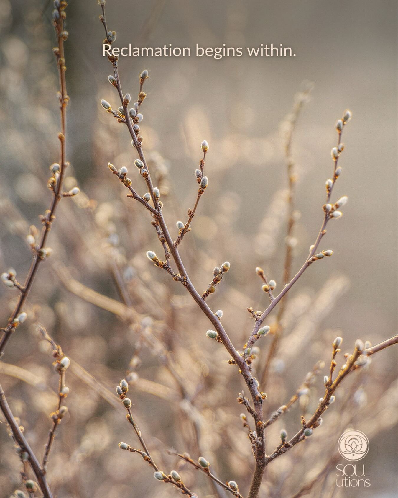 Becoming more yourself does not start with proving anything.
It begins with remembering what is true beneath the noise, the roles, the conditioning, and the old survival patterns.
Reclamation begins within.
And from there, everything starts to shift.
If this is the season you are in, 𝗕𝗲 𝗠𝗼𝗿𝗲 𝗬𝗼𝘂 was made for this work. Comment 𝗕𝗠𝗬 and I’ll send you the details.
#BeMoreYou #IdentityReclamation #InnerTruth #AuthenticSelf #Transformation