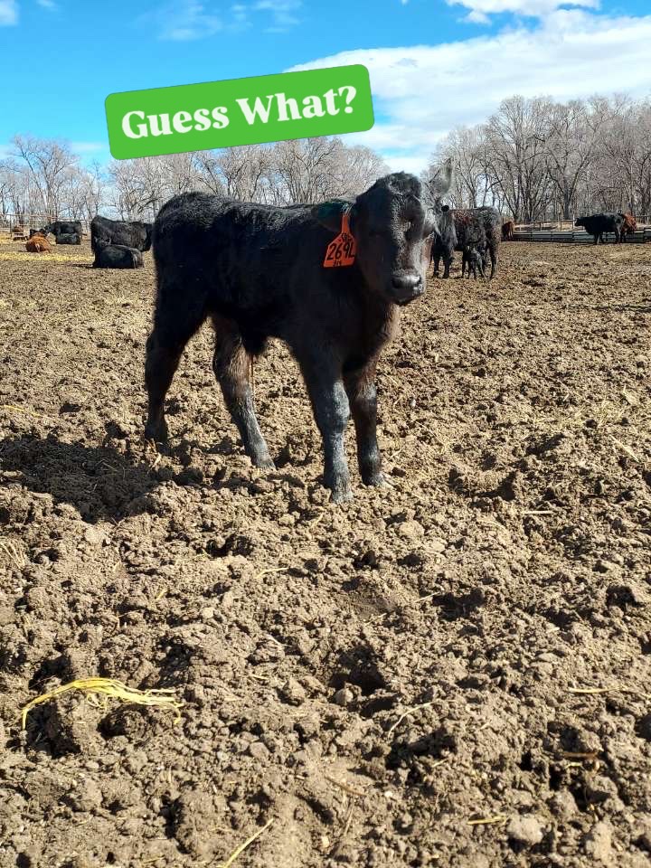 From the cold starts in the winter to the days of cooking in the autumn sunshine. Thank you to all those working day and night to keep us fed. Happy National Ag Day.