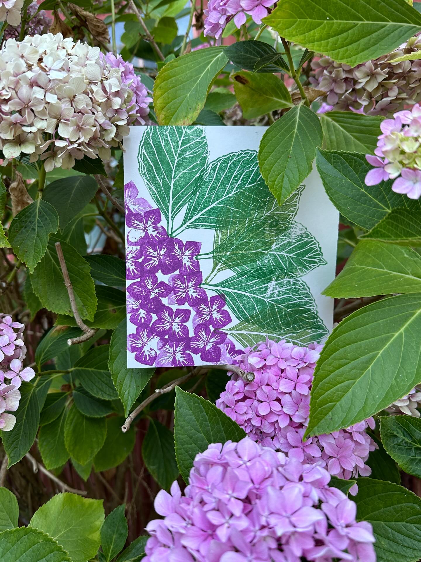 SPRING has SPRUNG!
come and print with us
@disfordilettante
make your own
custom
botanical stamps 🌸