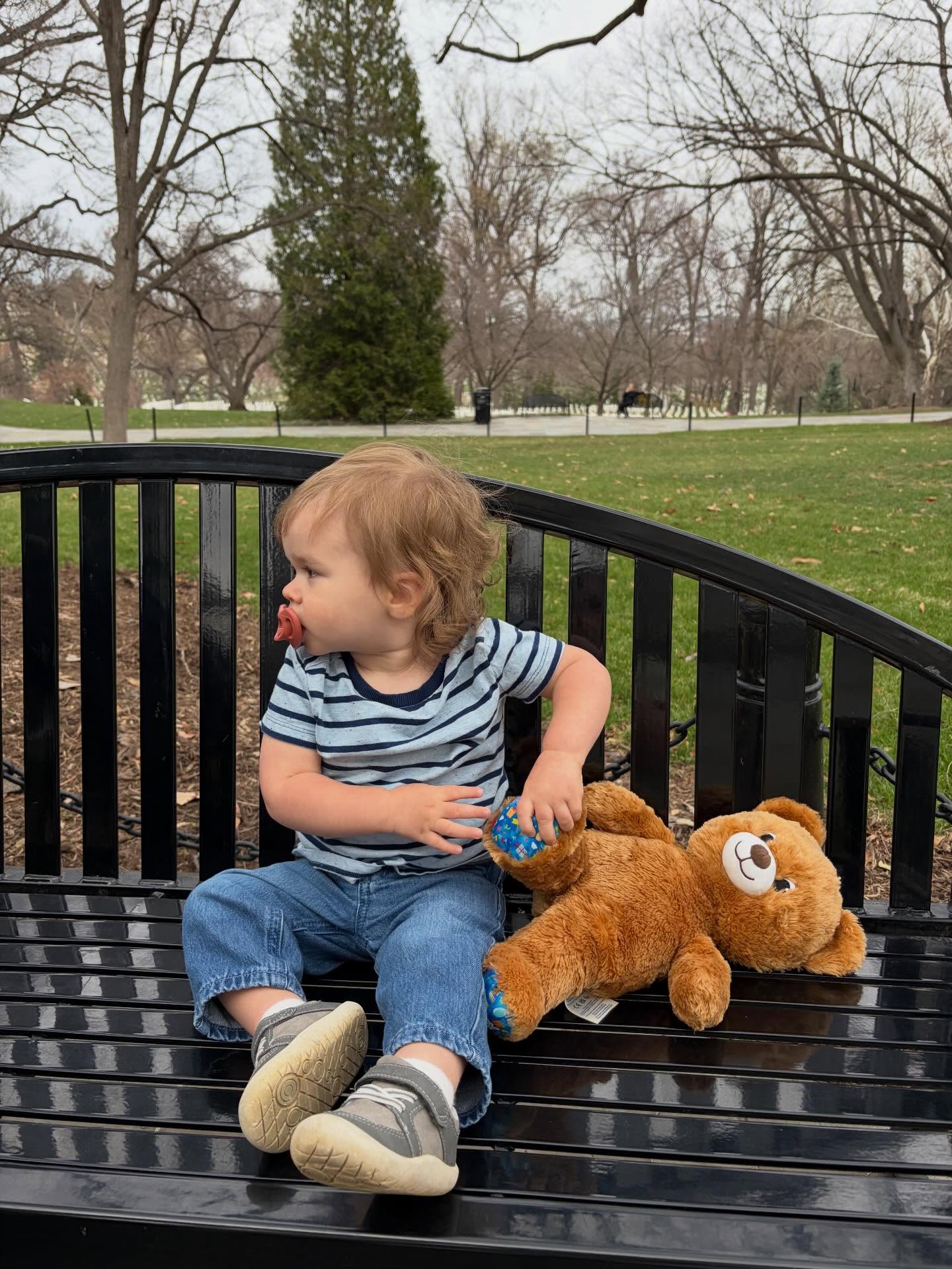 The extraordinary adventures of Auggy 💛