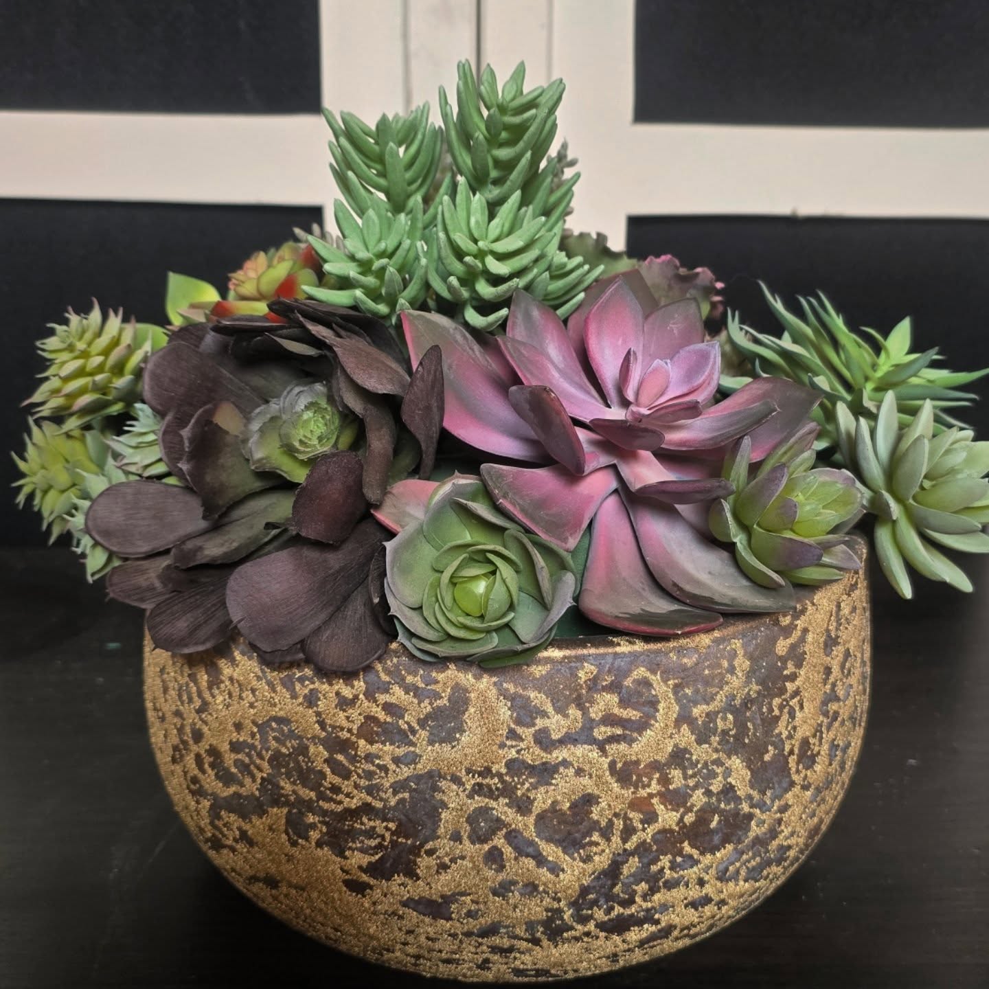 Hoe leuk zijn de vetplanten 😍 Nieuwsgierig naar wat we allemaal hebben? Neem gerust contact op😇#zijden#vetplanten