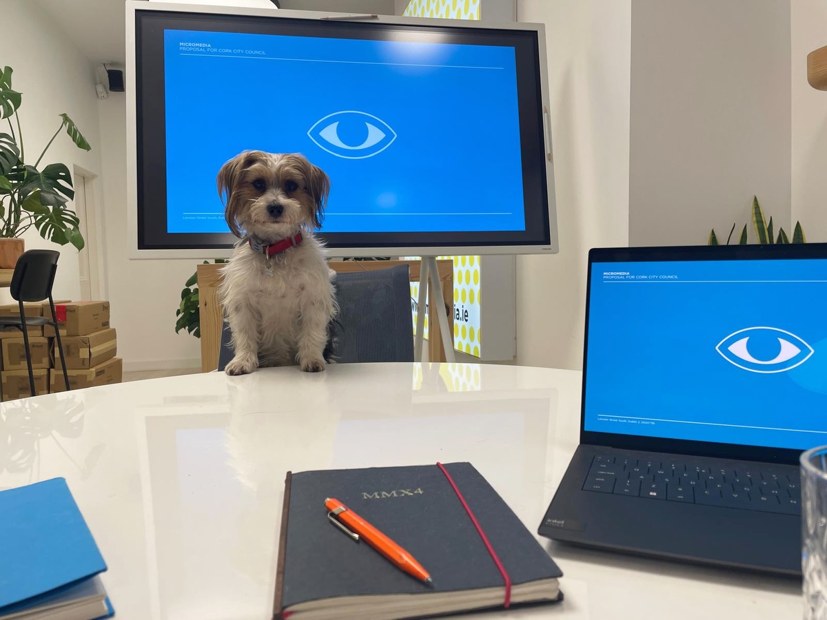 Easter giveaway!
We’re buzzin to announce an incredible opportunity for you…
Book our full network for one week and be in for a chance win a FREE dog! 🐶
…Book for a two week cycle and we’ll throw in a second pup to take home completely free of charge.
First come, first served⚡️🐾
P.s. - strict no return policy