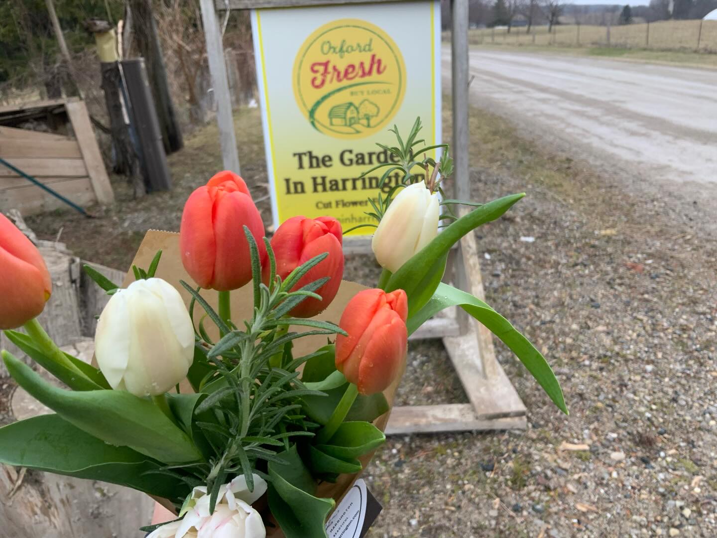 The farmstand is open!
The farmstand is open today and it is filled with beautiful Easter blooms. Pop by today to pick up your a bouquet for your Easter celebration!
Also, we have farm fresh eggs available!
Open today, 10am-6pm
#easter #easterflowers #flowers #spring #open