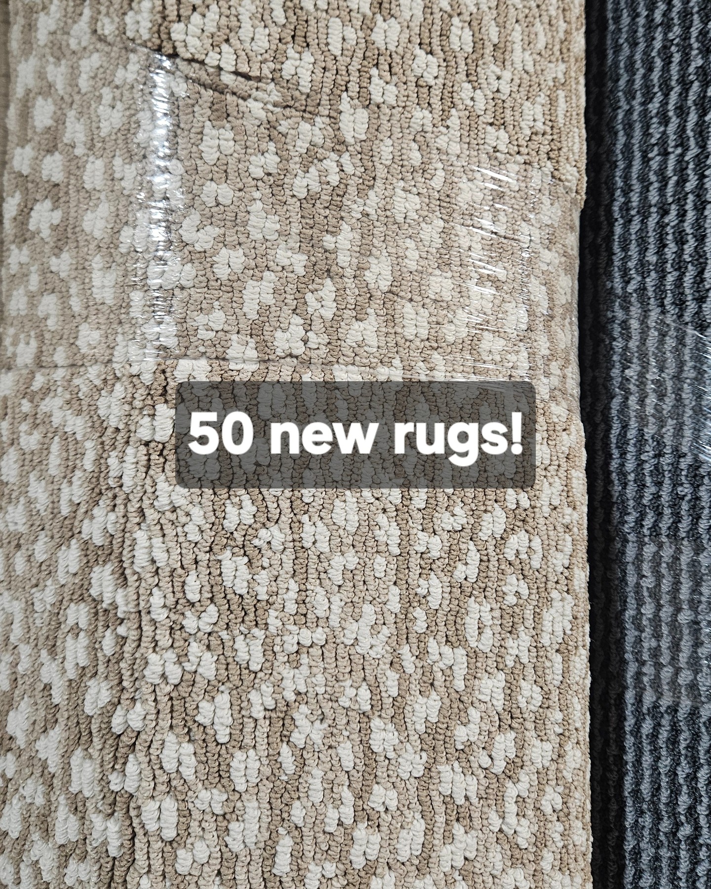 50 New 8x10s, 9x12s and 6x9s just came in! Everything from comfortable plushes and tweeds to more simple patterns. Grays, Beiges, and a few blues - all ranging from $69-$249!
#carpetremnant #plymouth #plymouthma #duxburyma #capecod #local #remnant #marshfieldma #southshore #carpet #interiordesign #homedecor #kingstonma #pembrokema #arearugs #pinehills #pinehillsplymouthma #eastcoast