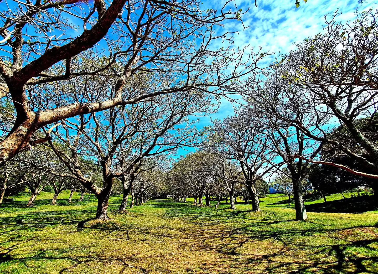 Good morning...
We have a parking spot calling your name today at the Bathurst Agricultural Show
With a full day packed with wildlife auctions, kids' entertainment, wine tastings and artisanal foods, tractors, trucks and 4x4 rallys plus a range of interesting stalls to wonder through, you don't want to miss the show today.
Find the full program of events at www.bathurstshow.org
Thank you to Riaan Jacobs for the amazing photo!
#BAS2026 #BathurstShow2026 #BathurstAgriculturalShow #Bathurst #BathurstEC Talk of the Town