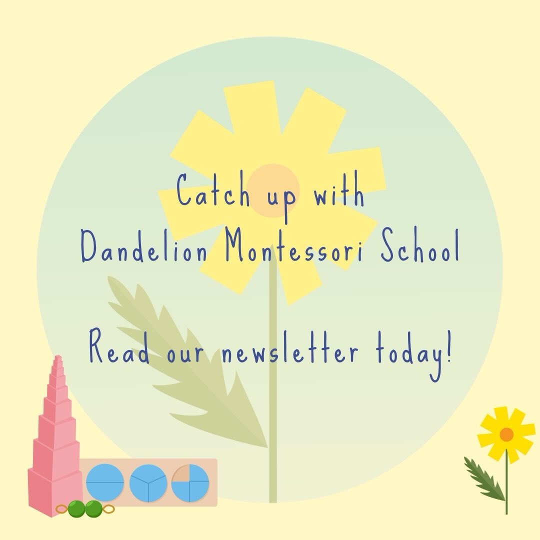 Find out what we’ve been up to! Our March newsletter is up on our website.
Visit our website to see the full newsletter.