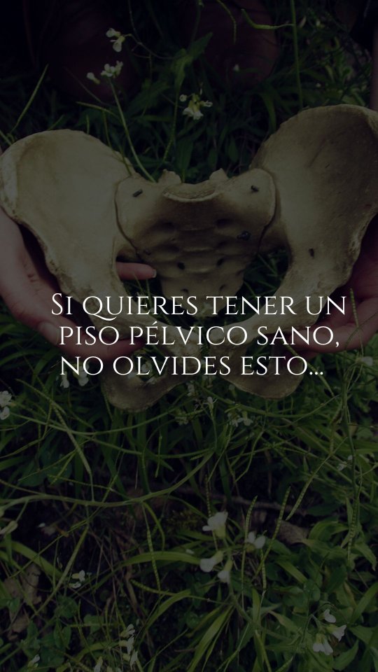 Fortalecer no siempre es la respuesta ✨
El piso pélvico no solo necesita fuerza… también necesita saber relajarse.
Un músculo que siempre está contraído puede generar molestias, dolor, escapes o sensación de urgencia.
Sí, incluso si “estás fuerte”.
La clave está en el equilibrio:
💫 contraer cuando se necesita
💫 soltar cuando toca
Entrenar el piso pélvico es aprender a sentirlo, no solo apretarlo.
#PisoPelvico #SaludPelvica #Postparto #EntrenamientoConsciente #WellnessFemenino