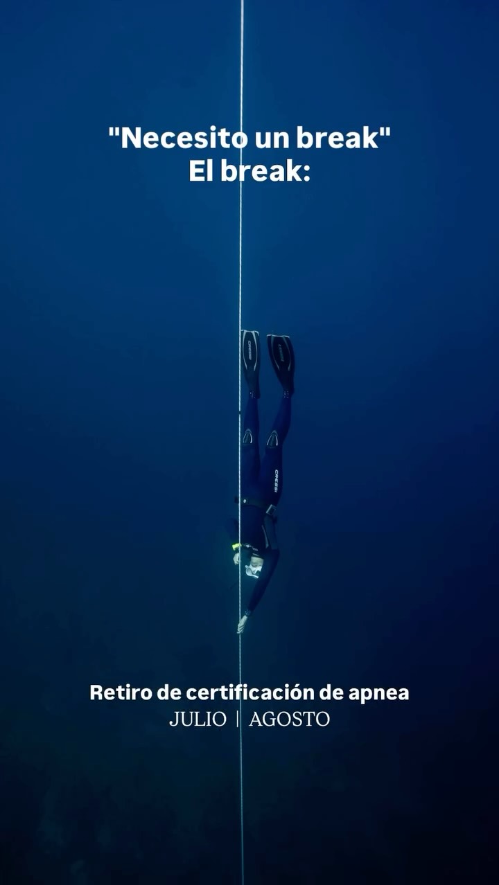 Hay algo poderoso en contener la respiración… y escucharte. 🌊✨🫀
Nuestros retiros de apnea para mujeres con certificación están diseñados para que vayas mucho más allá de lo físico: aquí no solo aprendes a bucear, aprendes a confiar en tu cuerpo, a soltar el miedo y a conectar con el océano desde un lugar más consciente.
🤿 Durante estos días vas a vivir:
– Sesiones de apnea guiadas en alberca y mar
– Certificación de apnea (AIDA 2)
– Ejercicios de respiración y relajación
– Acompañamiento cercano en un espacio seguro entre mujeres
– Conexión profunda con el mar y contigo misma
Tenemos próximas fechas en julio y agosto. ¡Los lugares son limitados!
Si algo dentro de ti te dijo “quiero esto”, escúchalo.
¡Toda la información está en el link en bio! 🩵
-
-
-
-
-
scuba diving, freediving women, apneistas, freediving life, ocean adventures, mujeres del mar, apnea mexico, freediving retreat, certificacion apnea, baja california sur, ocean lover, aprende apnea, freedivers, mujeres que inspiran, retiros para mujeres, viajes con proposito, apnea community, yoga y apnea, ocean experience